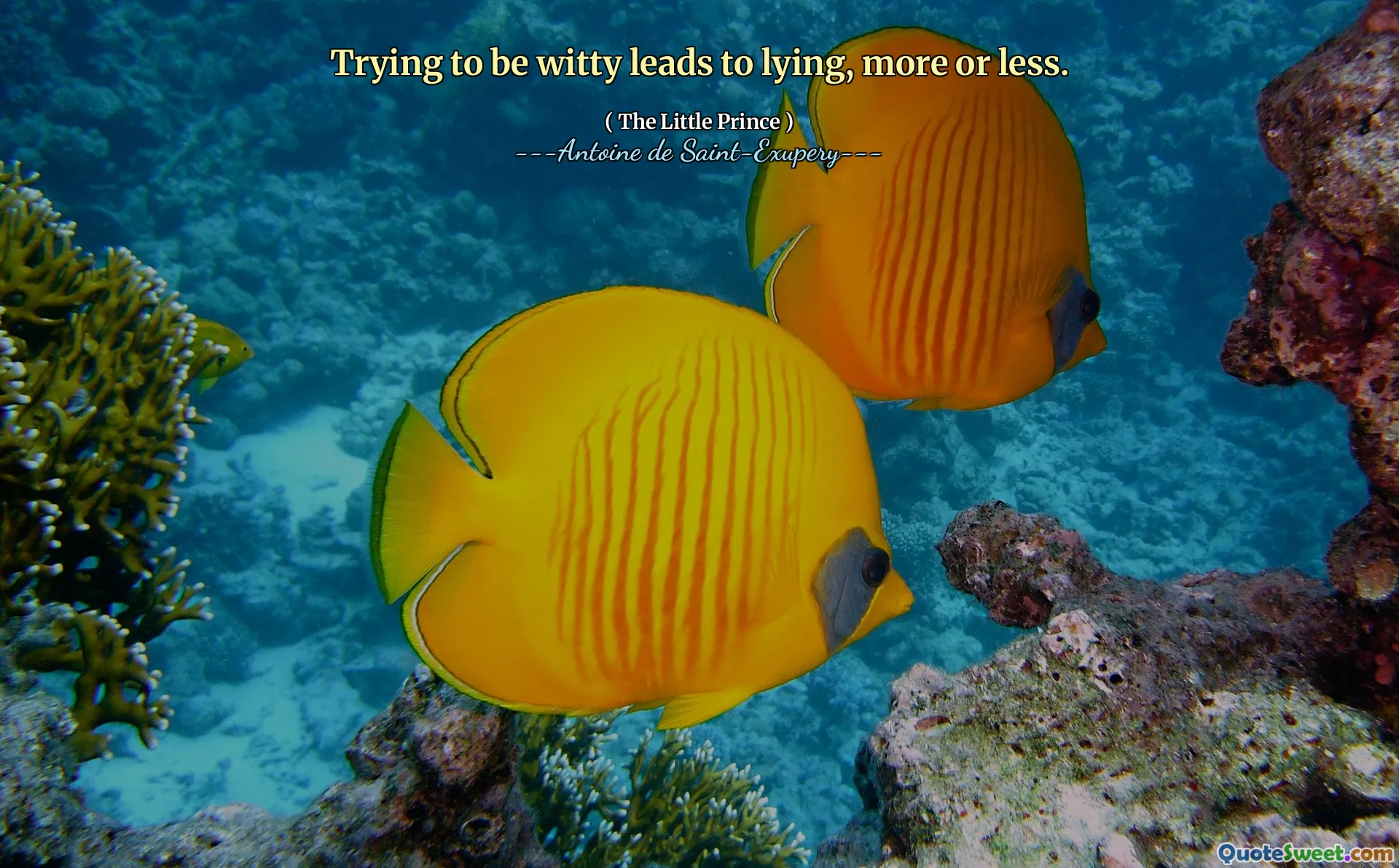 Trying to be witty leads to lying, more or less.