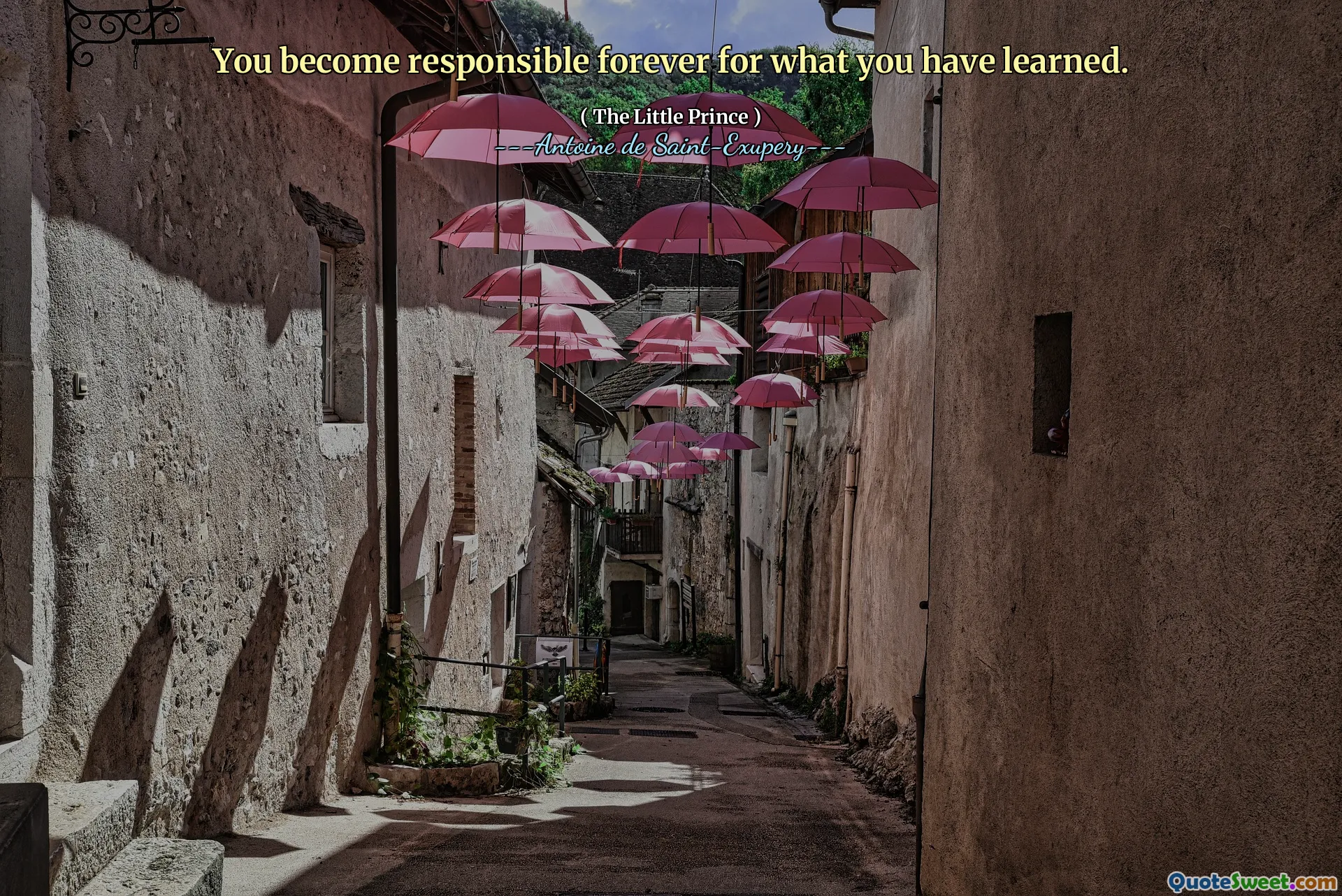 You become responsible forever for what you have learned.