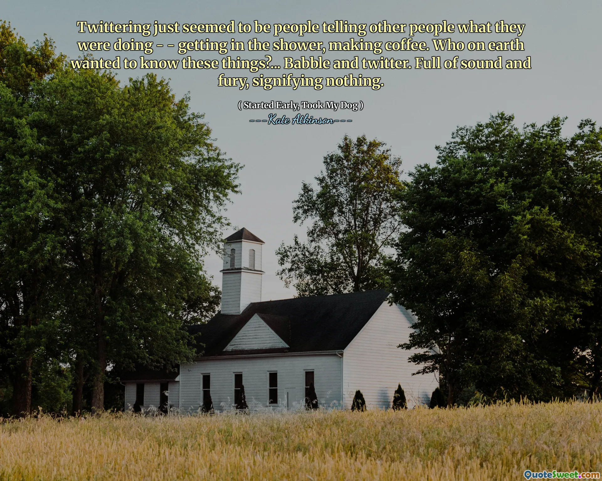 Twittering just seemed to be people telling other people what they were doing - - getting in the shower, making coffee. Who on earth wanted to know these things?... Babble and twitter. Full of sound and fury, signifying nothing.