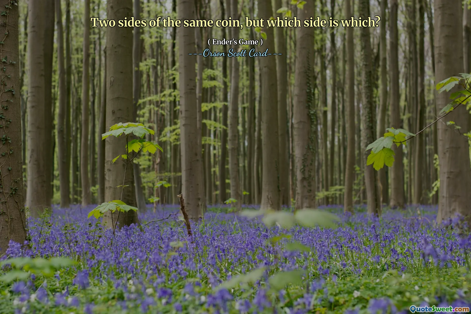 Två sidor av samma mynt, men vilken sida är vilken?