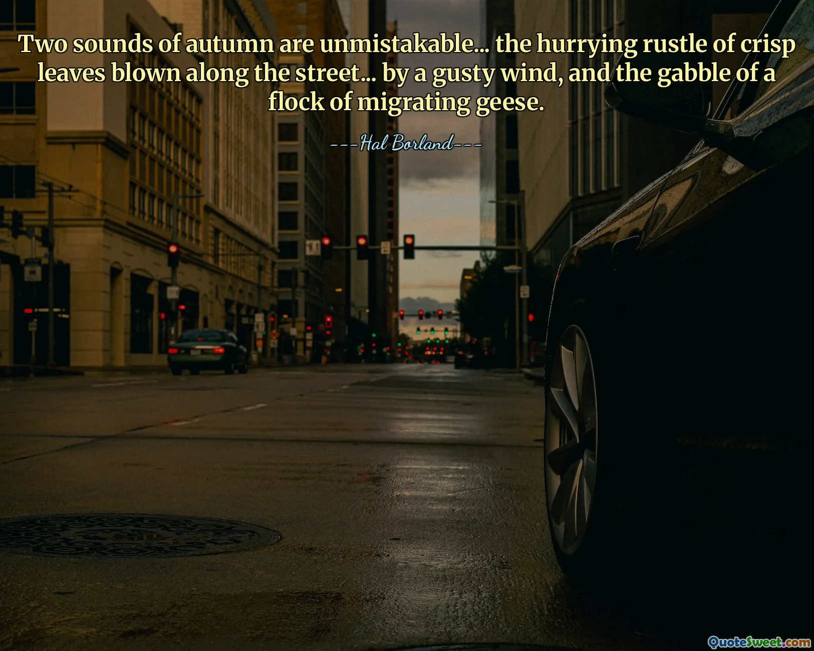 Two sounds of autumn are unmistakable... the hurrying rustle of crisp leaves blown along the street... by a gusty wind, and the gabble of a flock of migrating geese.
