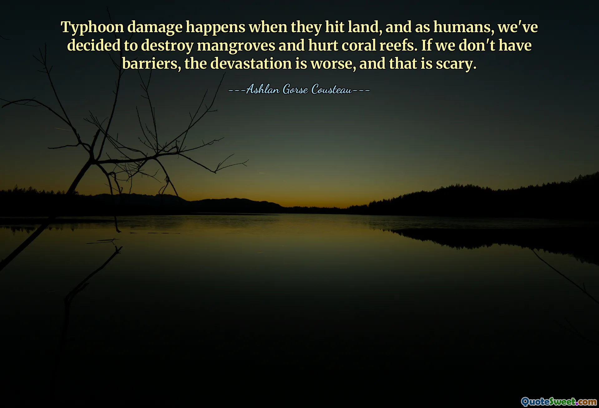 Typhoon damage happens when they hit land, and as humans, we've decided to destroy mangroves and hurt coral reefs. If we don't have barriers, the devastation is worse, and that is scary.