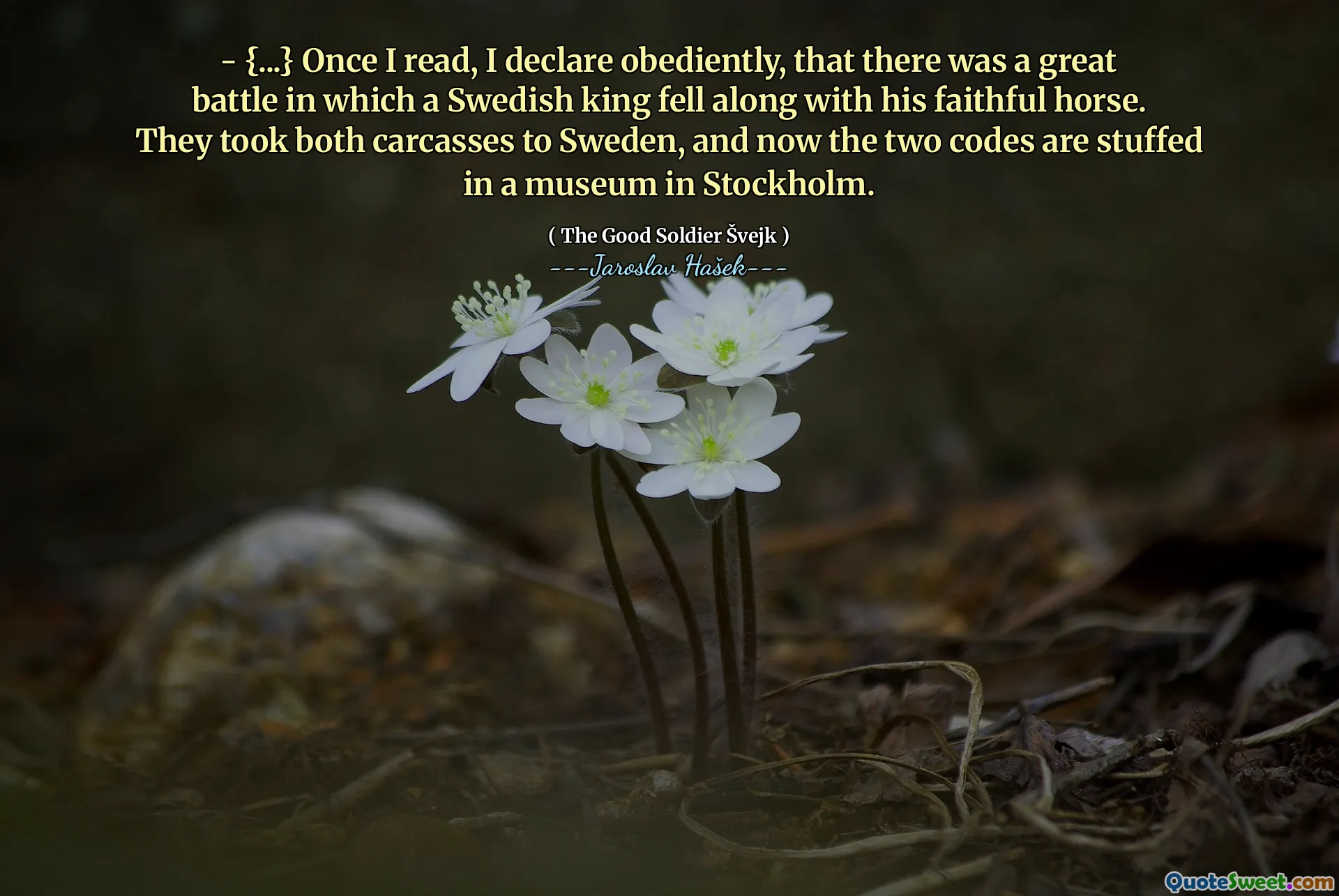 - {...} Nachdem ich gelesen hatte, erkläre ich gehorsam, dass es einen großen Kampf gab, in dem ein schwedischer König mit seinem treuen Pferd zusammenfiel. Sie nahmen beide Kadaver nach Schweden, und jetzt sind die beiden Codes in einem Museum in Stockholm ausgestopft.