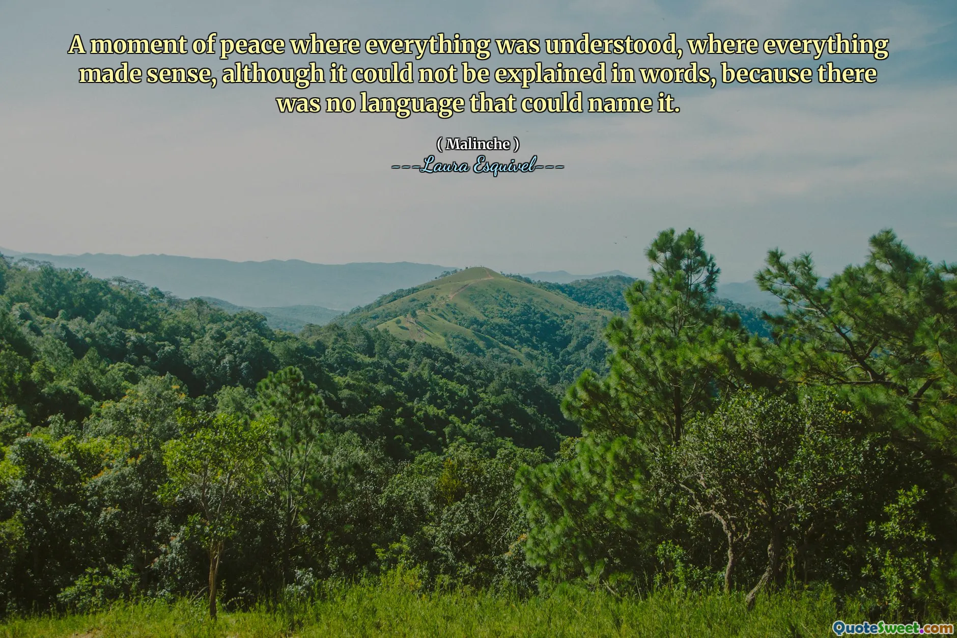 A moment of peace where everything was understood, where everything made sense, although it could not be explained in words, because there was no language that could name it.