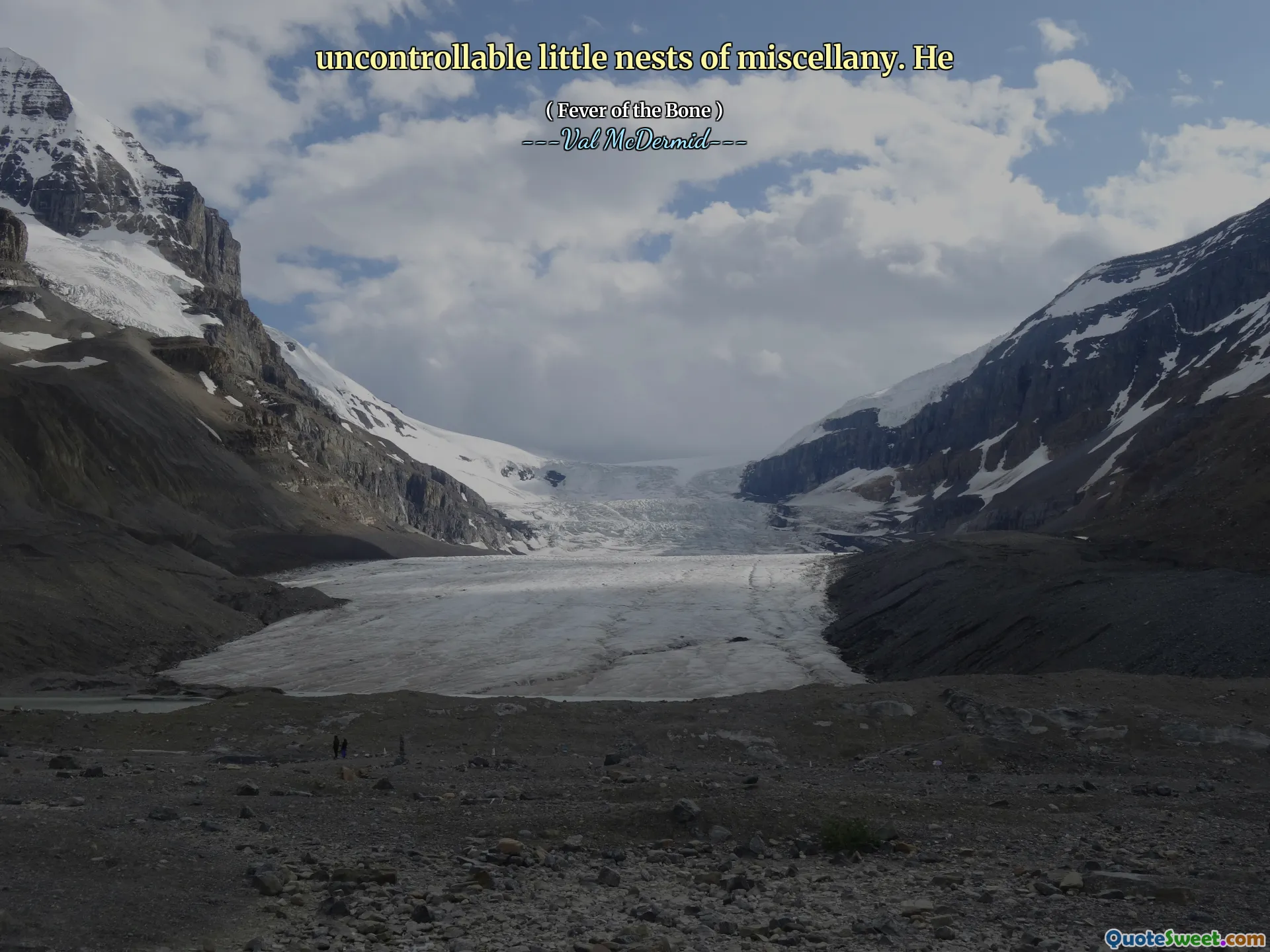 uncontrollable little nests of miscellany. He