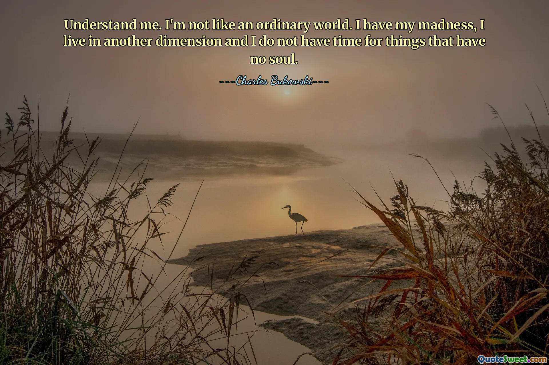 Understand me. I'm not like an ordinary world. I have my madness, I live in another dimension and I do not have time for things that have no soul.