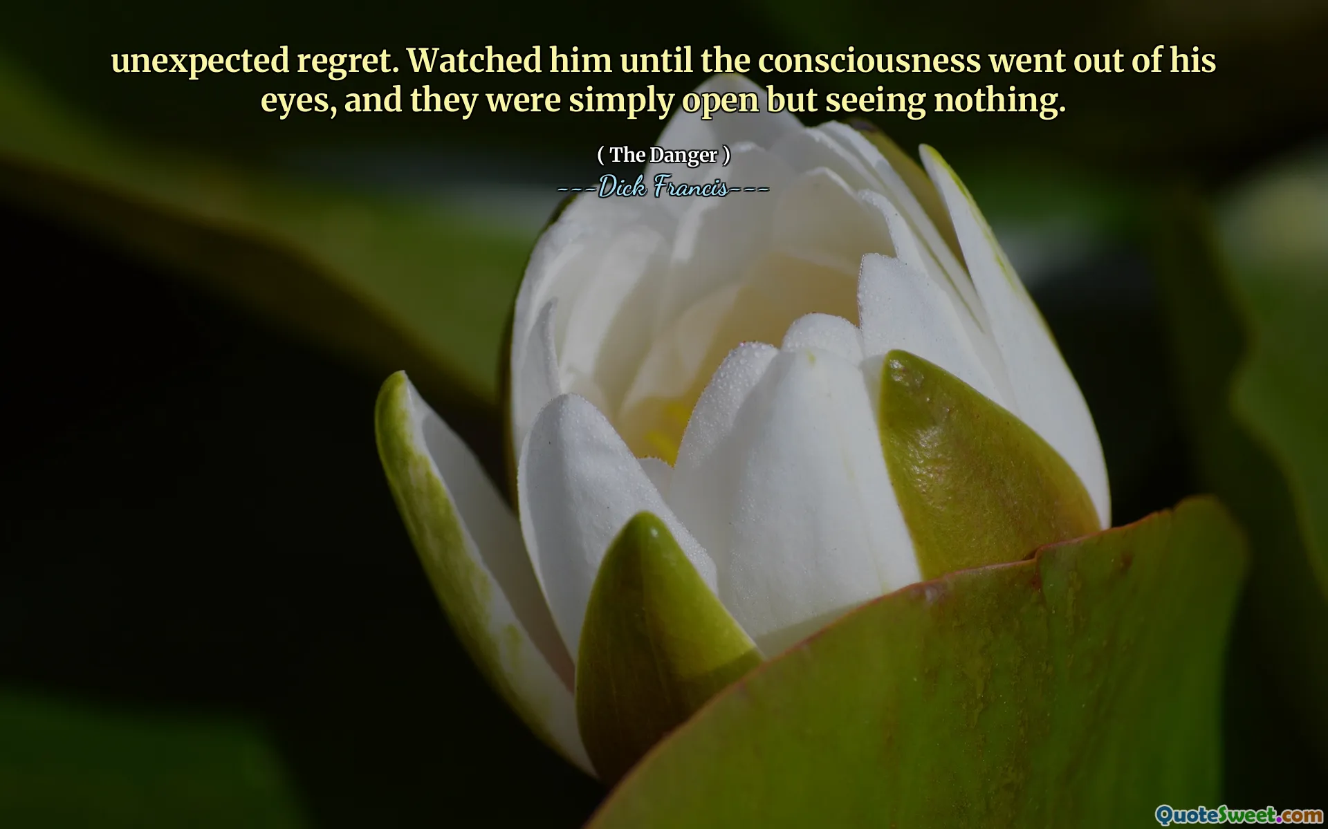 unexpected regret. Watched him until the consciousness went out of his eyes, and they were simply open but seeing nothing.