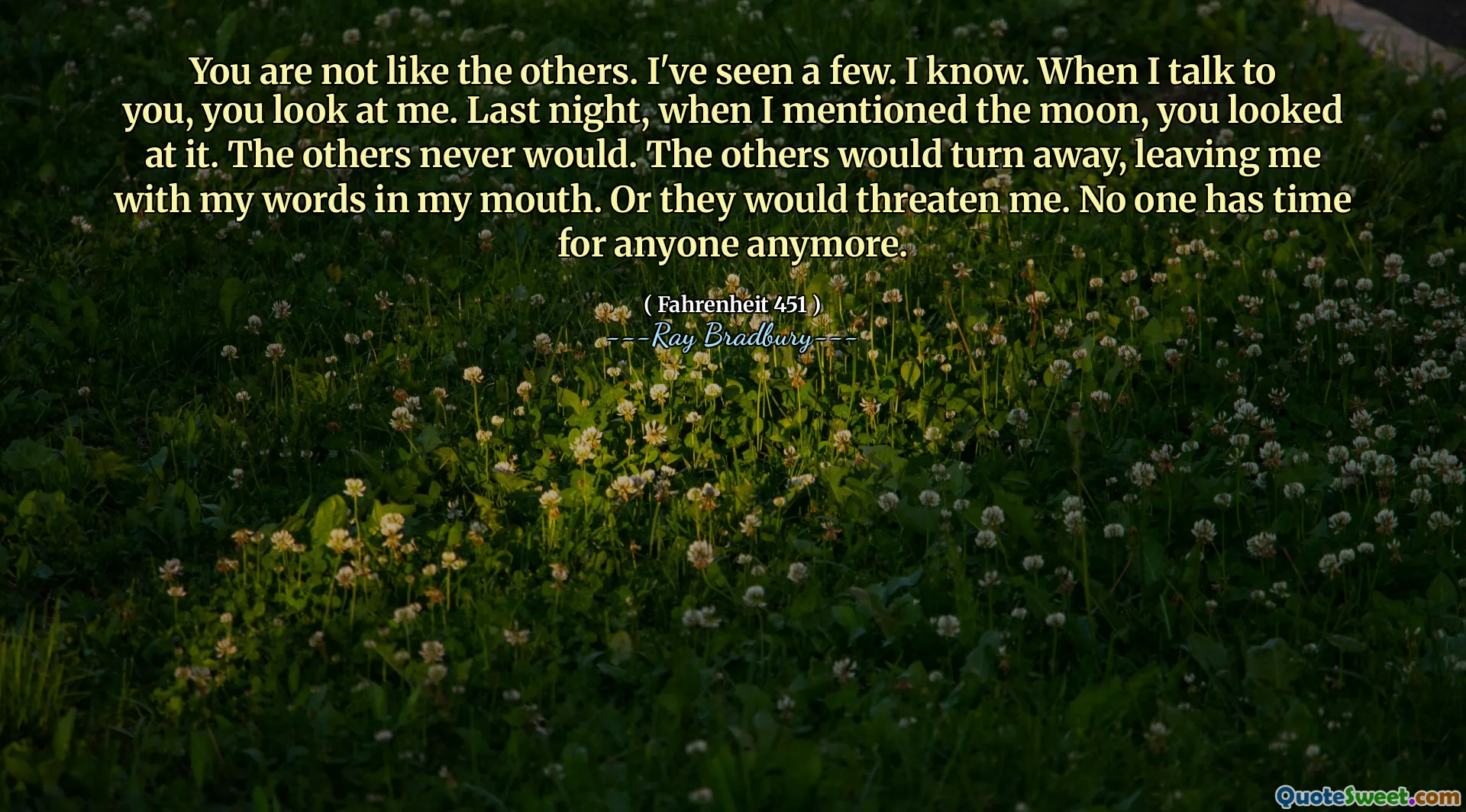 You are not like the others. I've seen a few. I know. When I talk to you, you look at me. Last night, when I mentioned the moon, you looked at it. The others never would. The others would turn away, leaving me with my words in my mouth. Or they would threaten me. No one has time for anyone anymore.