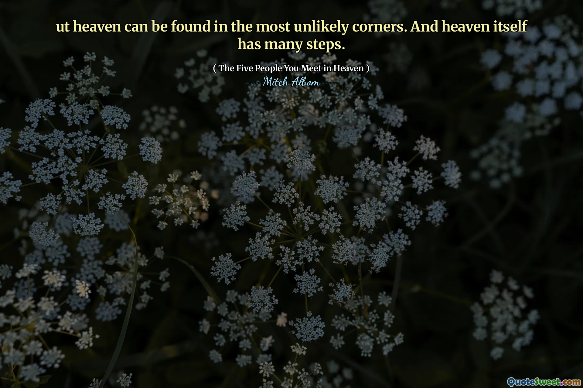 可以在最不可能的角落找到天堂。天堂本身有许多步骤。