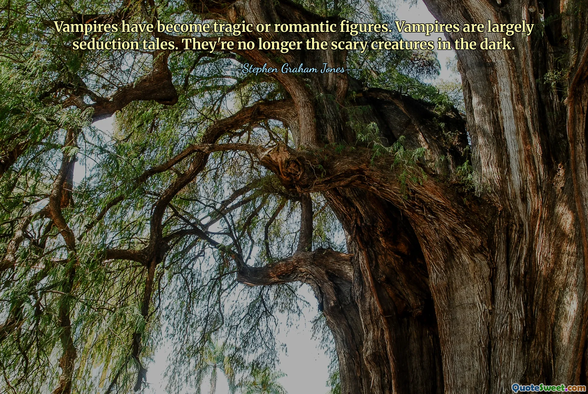 Vampires have become tragic or romantic figures. Vampires are largely seduction tales. They're no longer the scary creatures in the dark.