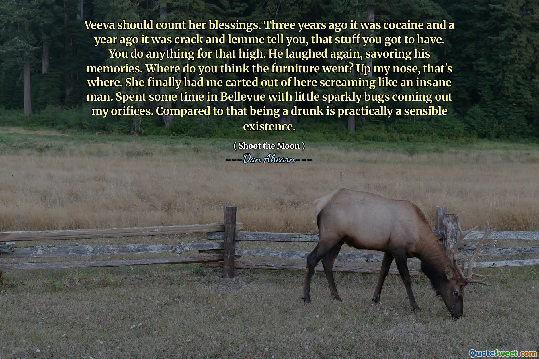 Veeva should count her blessings. Three years ago it was cocaine and a year ago it was crack and lemme tell you, that stuff you got to have. You do anything for that high. He laughed again, savoring his memories. Where do you think the furniture went? Up my nose, that's where. She finally had me carted out of here screaming like an insane man. Spent some time in Bellevue with little sparkly bugs coming out my orifices. Compared to that being a drunk is practically a sensible existence.