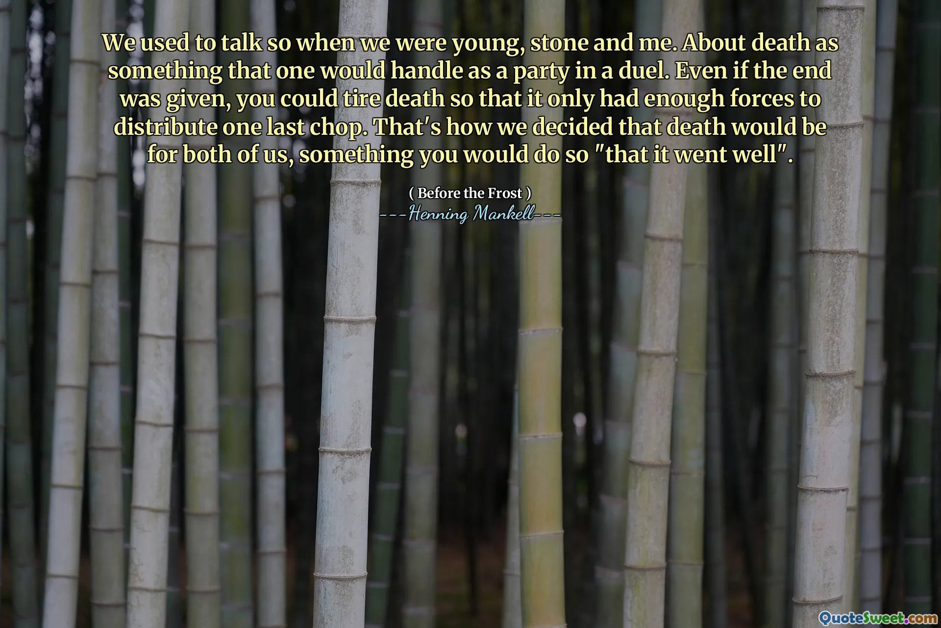 We used to talk so when we were young, stone and me. About death as something that one would handle as a party in a duel. Even if the end was given, you could tire death so that it only had enough forces to distribute one last chop. That's how we decided that death would be for both of us, something you would do so "that it went well".