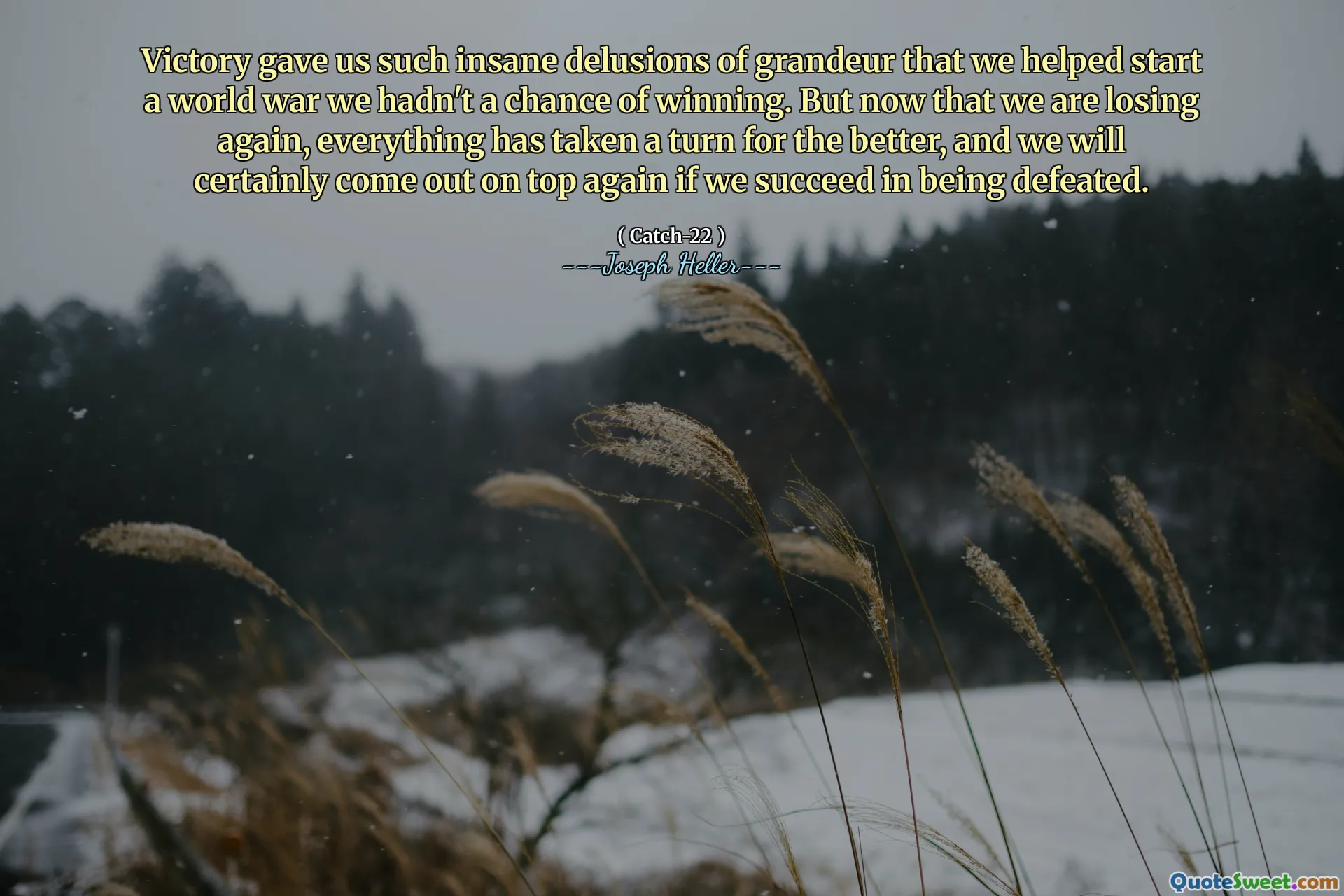 Победа дала нам такие безумные заблуждения величия, что мы помогли начать мировую войну, у нас не было шансов на победу. Но теперь, когда мы снова проигрываем, все изменилось к лучшему, и мы обязательно снова выйдем на вершину, если нам удастся быть побежденным.