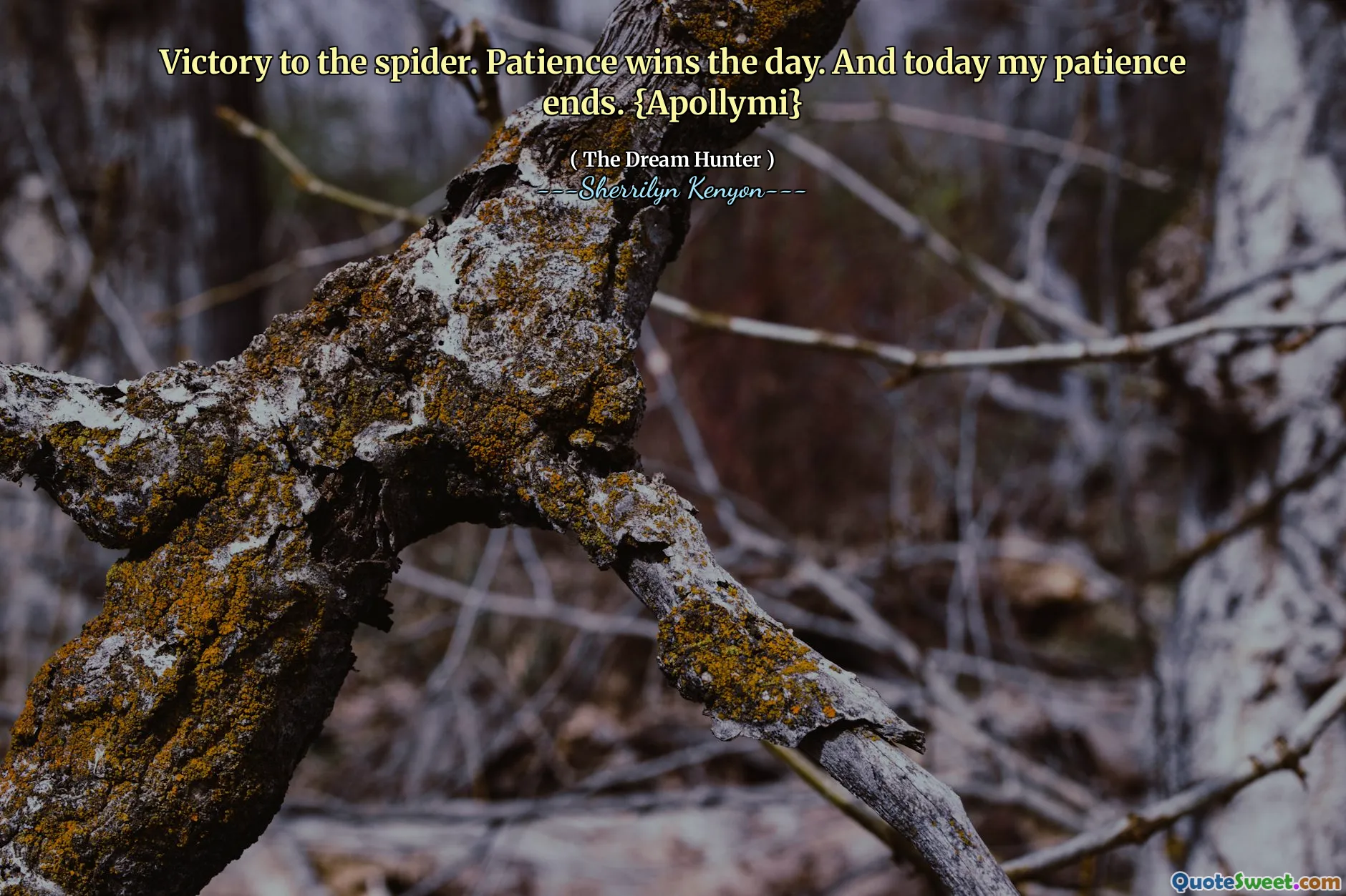 Victory to the spider. Patience wins the day. And today my patience ends. {Apollymi}