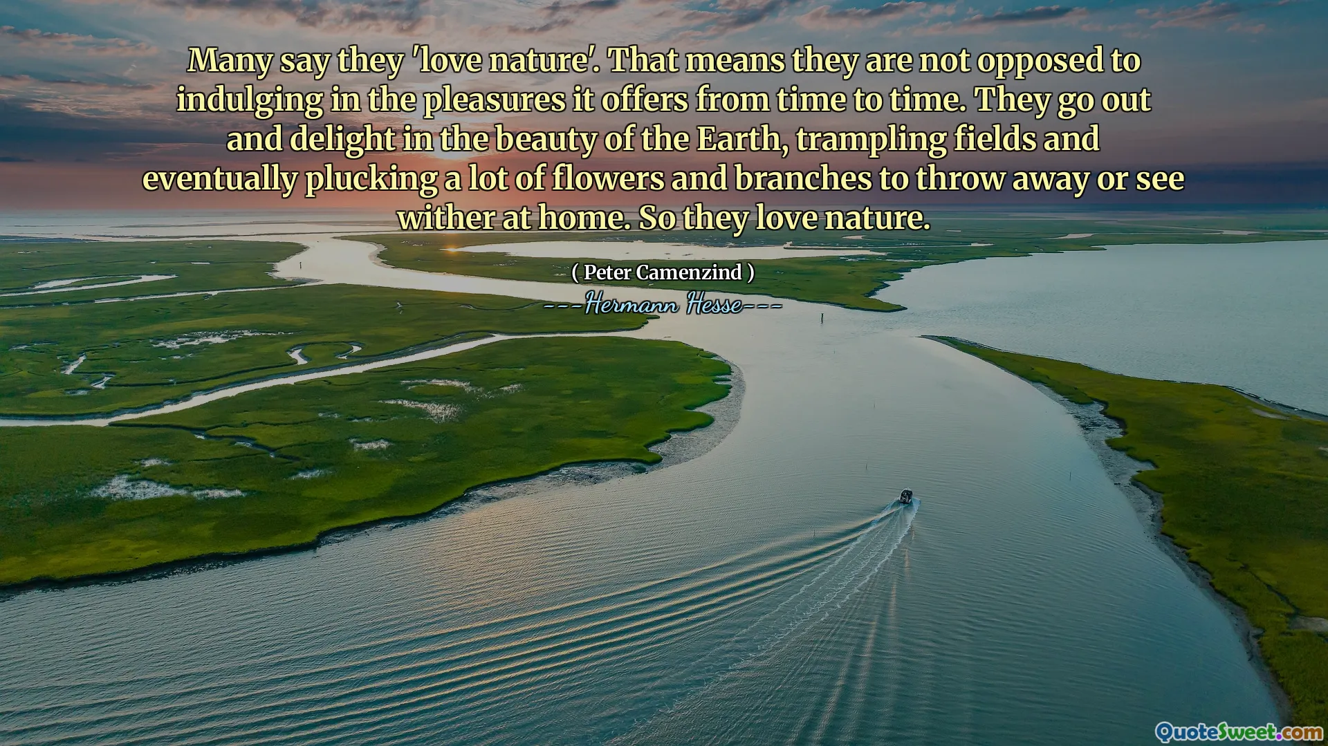 Many say they 'love nature'. That means they are not opposed to indulging in the pleasures it offers from time to time. They go out and delight in the beauty of the Earth, trampling fields and eventually plucking a lot of flowers and branches to throw away or see wither at home. So they love nature.