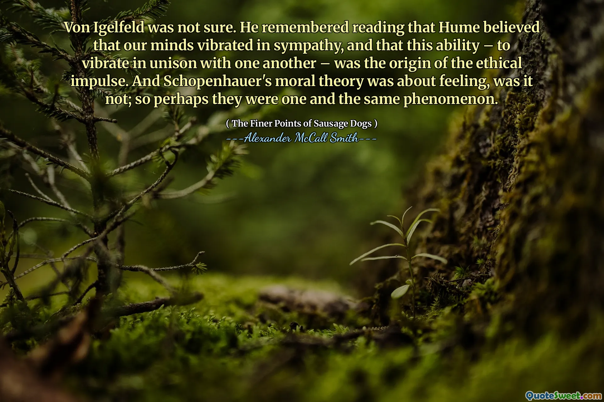 Von Igelfeld n'était pas sûr. Il se souvenait avoir lu que Hume croyait que nos esprits vibraient en sympathie, et que cette capacité - à vibrer à l'unisson les uns avec les autres - était l'origine de l'impulsion éthique. Et la théorie morale de Schopenhauer concernait le sentiment, ce n'était pas le cas; Alors peut-être qu'ils étaient un et le même phénomène.