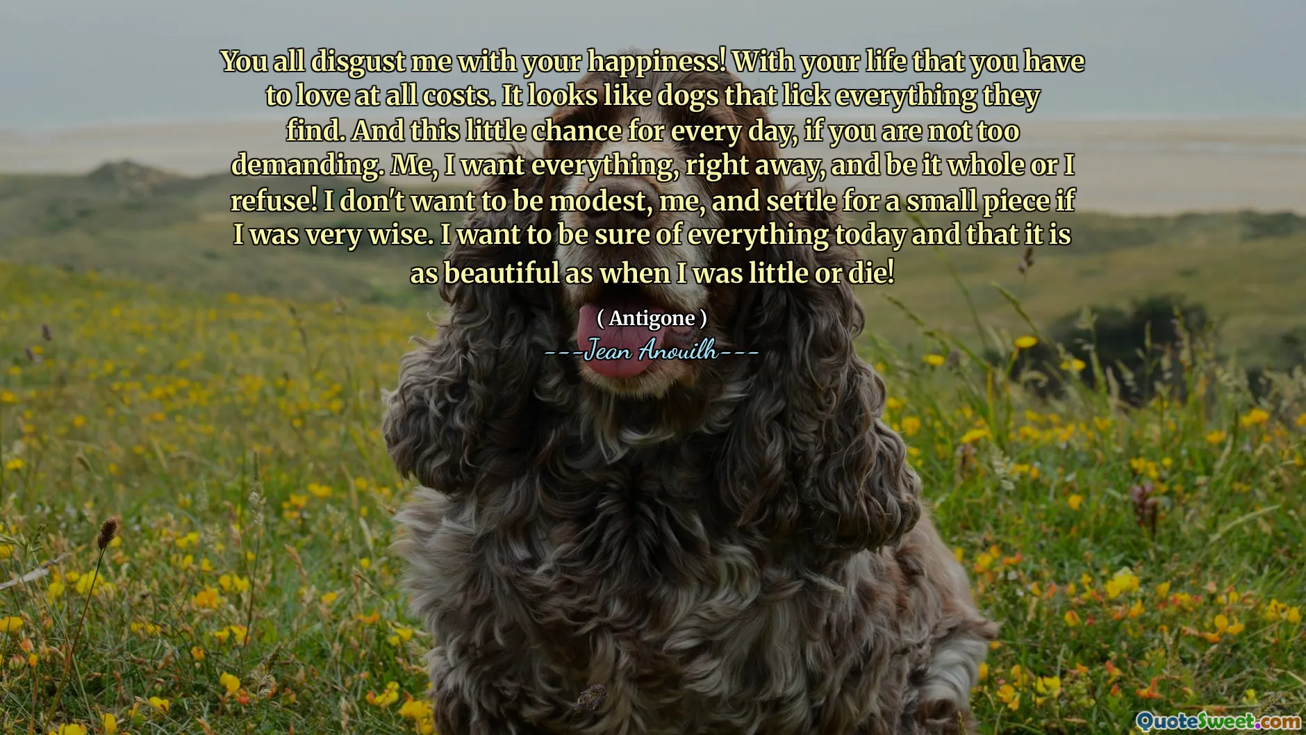 आप सभी मुझे अपनी खुशी से घृणा करते हैं! अपने जीवन के साथ जिसे आपको हर कीमत पर प्यार करना होगा। यह उन कुत्तों की तरह दिखता है जो सब कुछ वे पाते हैं। और हर दिन के लिए यह छोटा सा मौका, अगर आप बहुत अधिक मांग नहीं कर रहे हैं। मुझे, मुझे सब कुछ चाहिए, तुरंत, और यह पूरा हो या मैं मना कर दूं! मैं मामूली नहीं होना चाहता, मुझे, और एक छोटे से टुकड़े के लिए बसना अगर मैं बहुत बुद्धिमान था। मैं आज सब कुछ