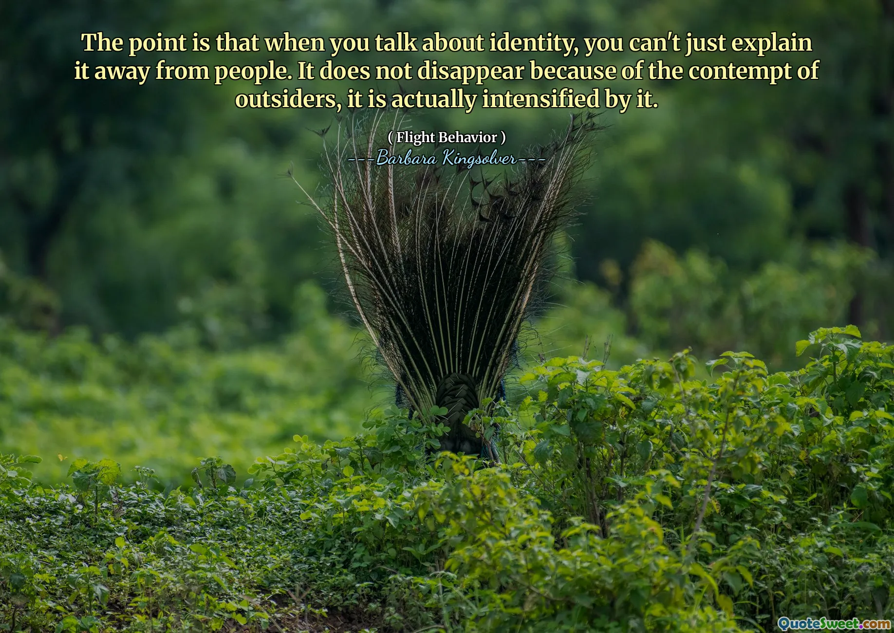 Il punto è che quando parli di identità, non puoi semplicemente spiegarlo dalle persone. Non scompare a causa del disprezzo degli estranei, in realtà ne è intensificato.