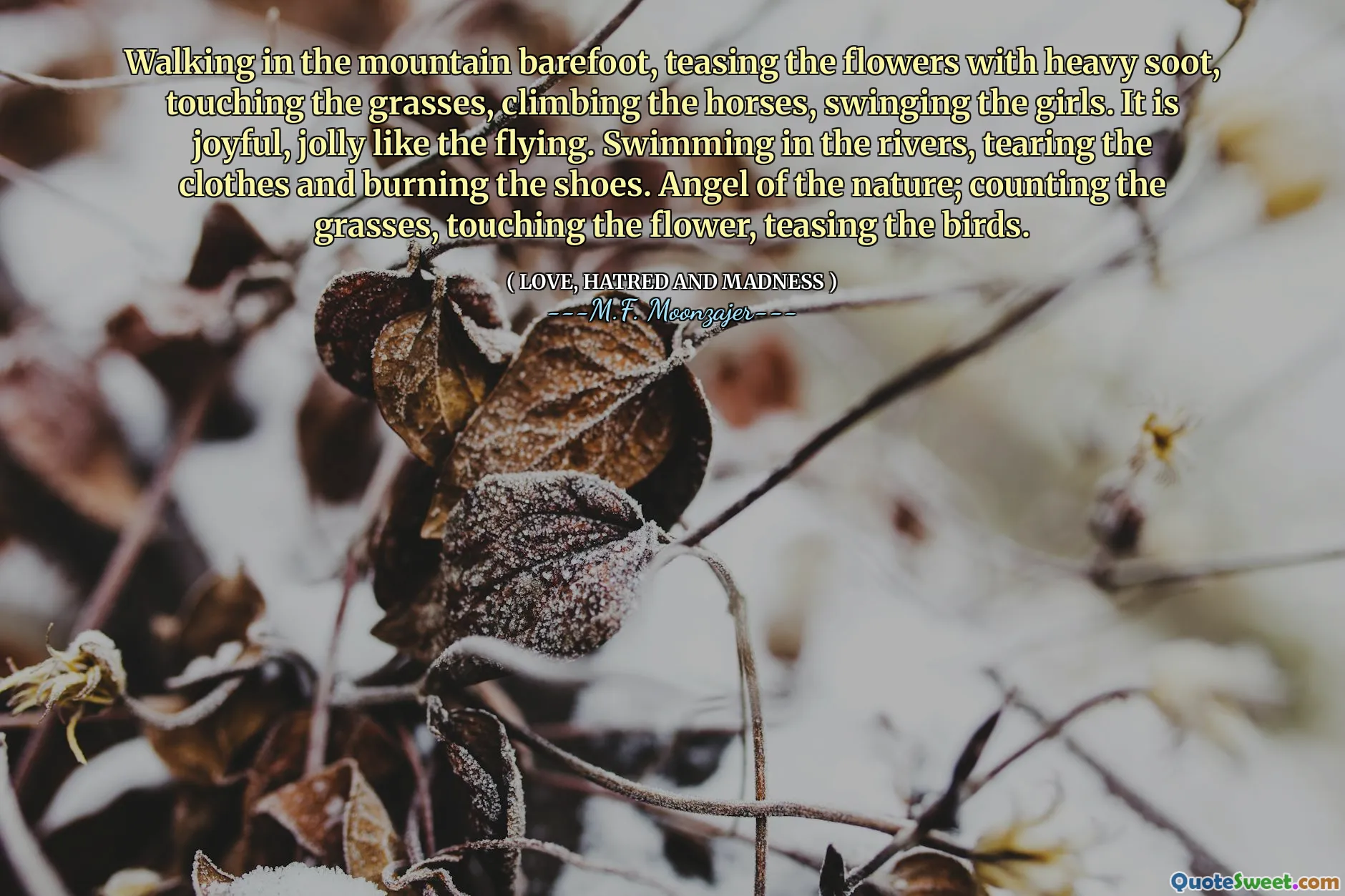 Walking in the mountain barefoot, teasing the flowers with heavy soot, touching the grasses, climbing the horses, swinging the girls. It is joyful, jolly like the flying. Swimming in the rivers, tearing the clothes and burning the shoes. Angel of the nature; counting the grasses, touching the flower, teasing the birds.
