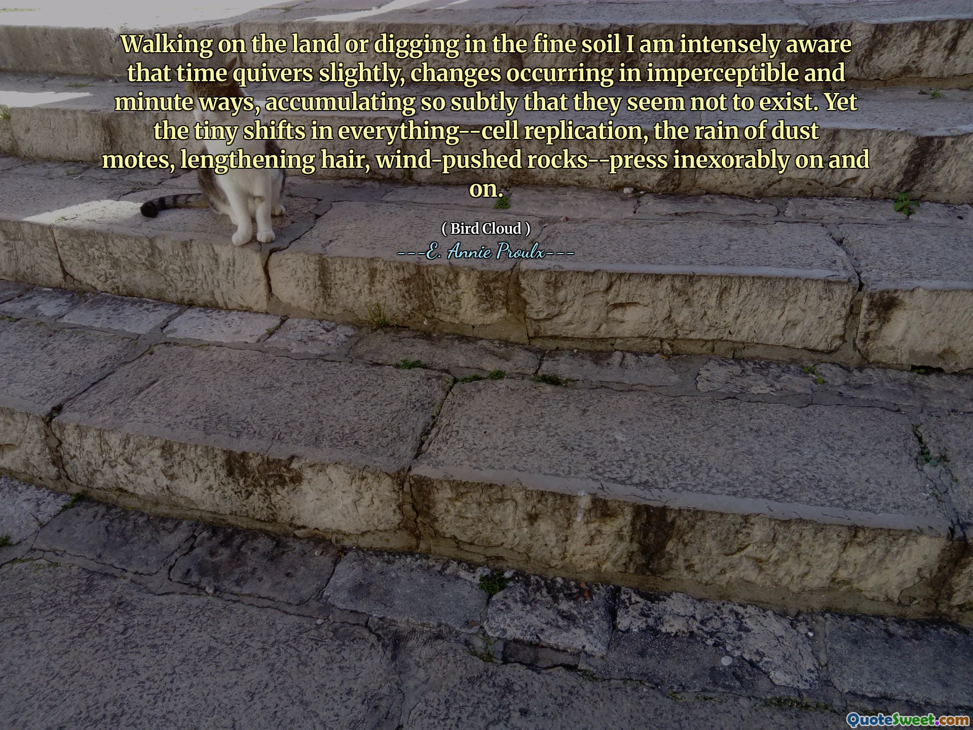 Caminando sobre la tierra o cavando en el suelo fino soy intensamente consciente de que el tiempo se detiene ligeramente, los cambios ocurren de manera imperceptible y minuciosa, acumulando tan sutilmente que parecen no existir. Sin embargo, los pequeños cambios en todo (replicación de células, la lluvia de las motas de polvo, el cabello alargante, las rocas empujadas por el viento, presionan inexorablemente una y otra vez.
