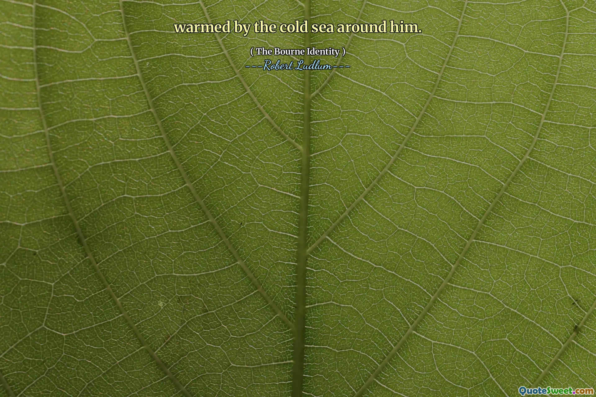 warmed by the cold sea around him.