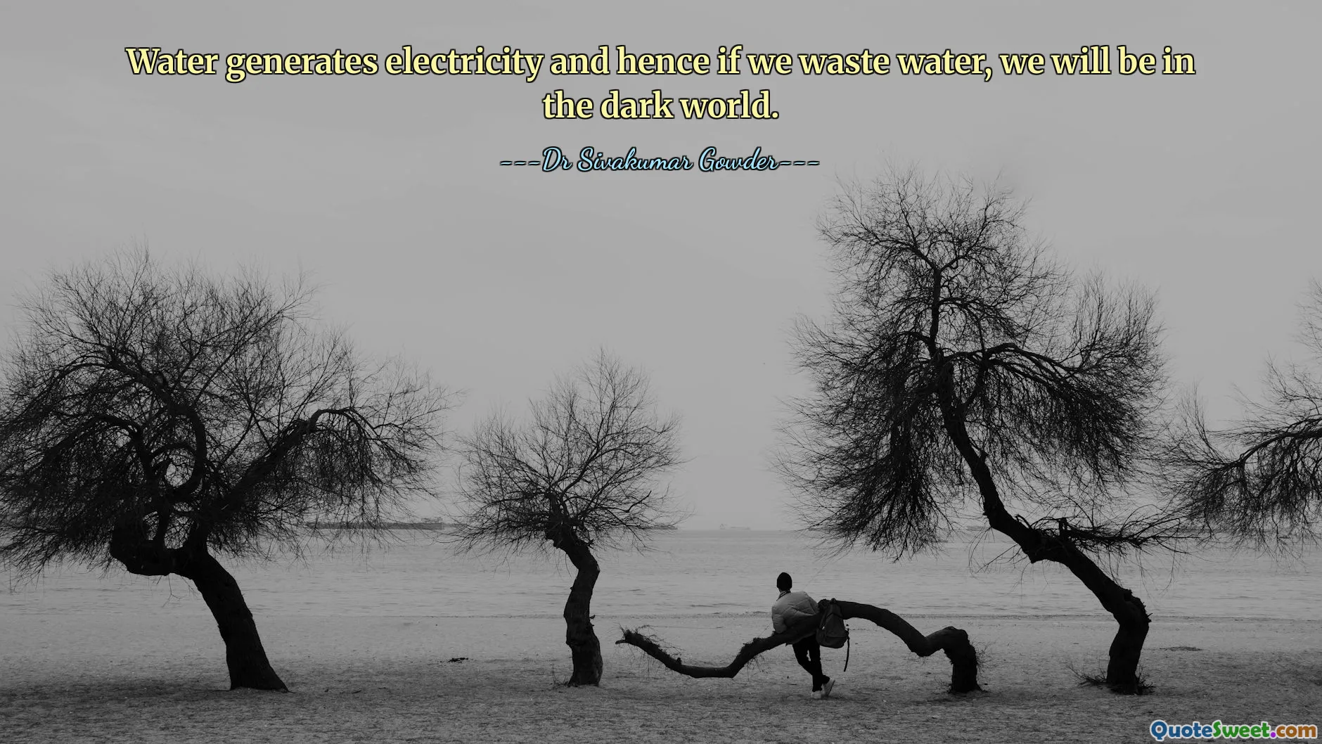 Water generates electricity and hence if we waste water, we will be in the dark world.