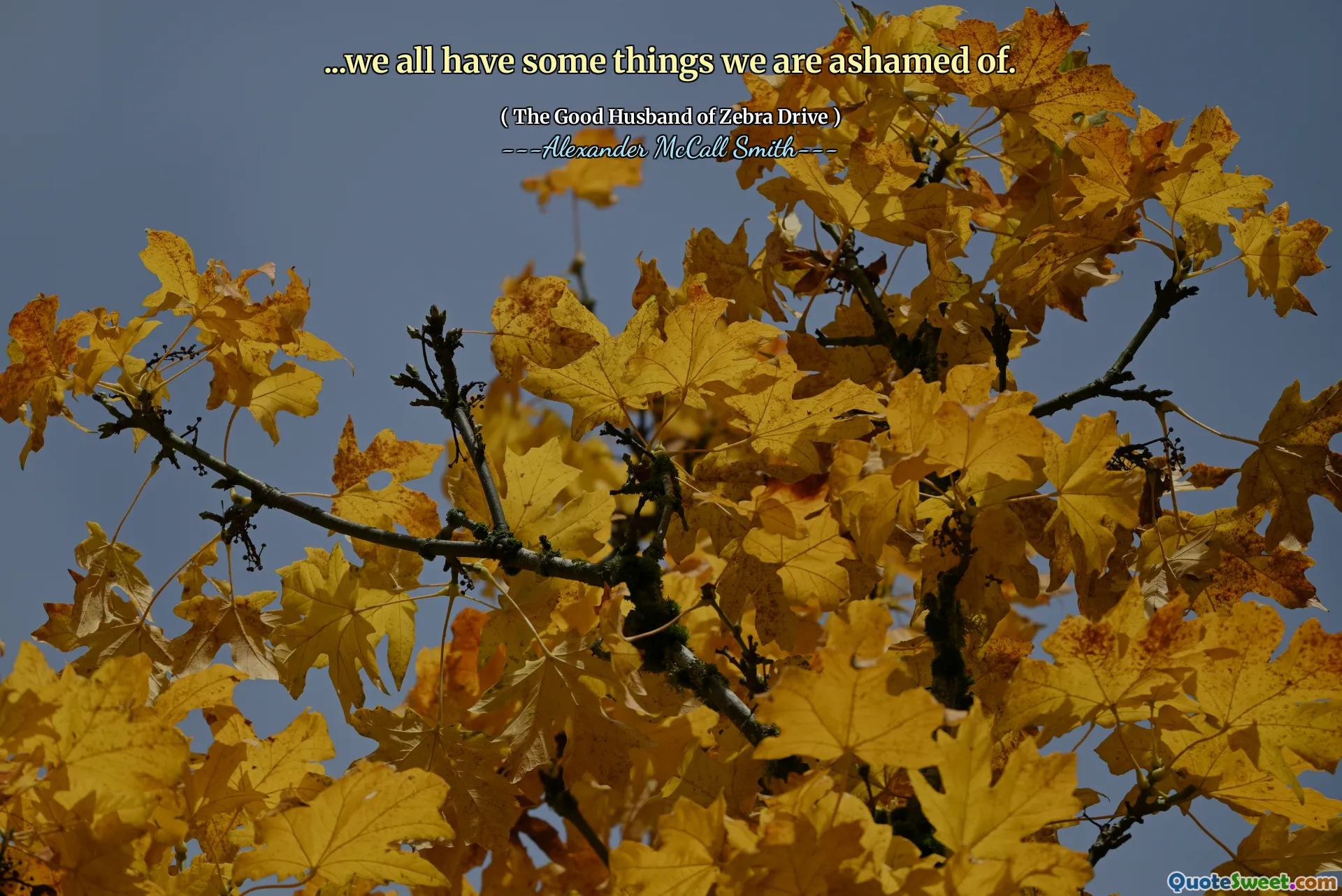 ... Vi har alle noen ting vi skammer oss over.