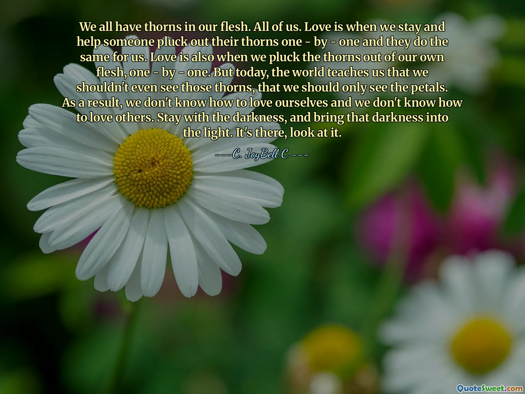 We all have thorns in our flesh. All of us. Love is when we stay and help someone pluck out their thorns one - by - one and they do the same for us. Love is also when we pluck the thorns out of our own flesh, one - by - one. But today, the world teaches us that we shouldn't even see those thorns, that we should only see the petals. As a result, we don't know how to love ourselves and we don't know how to love others. Stay with the darkness, and bring that darkness into the light. It's there, look at it.