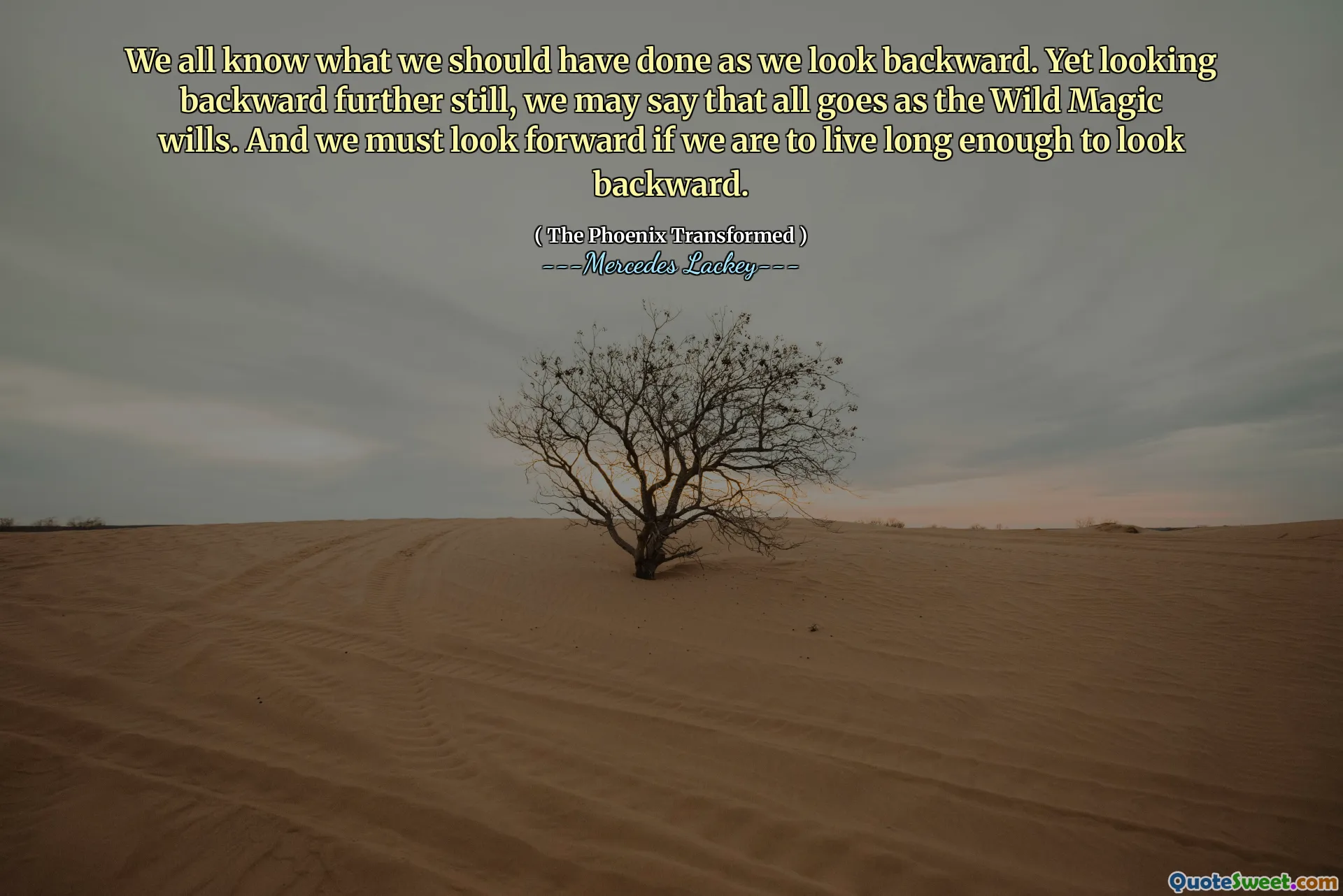 We all know what we should have done as we look backward. Yet looking backward further still, we may say that all goes as the Wild Magic wills. And we must look forward if we are to live long enough to look backward.