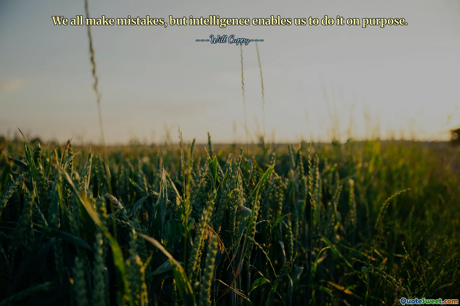 We all make mistakes, but intelligence enables us to do it on purpose.