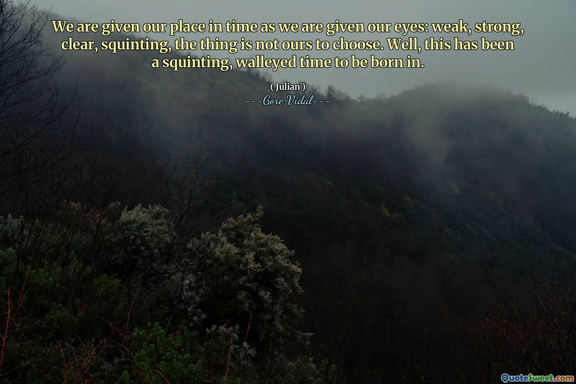 We are given our place in time as we are given our eyes: weak, strong, clear, squinting, the thing is not ours to choose. Well, this has been a squinting, walleyed time to be born in.