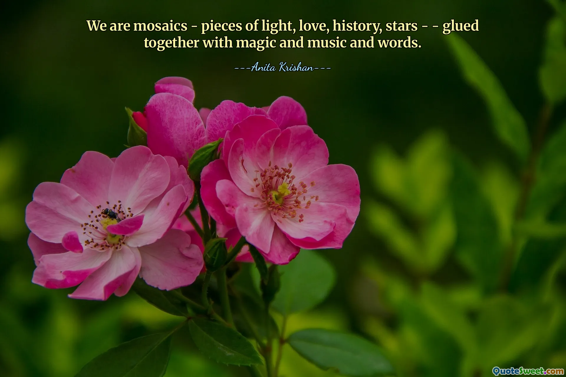 We are mosaics - pieces of light, love, history, stars - - glued together with magic and music and words.