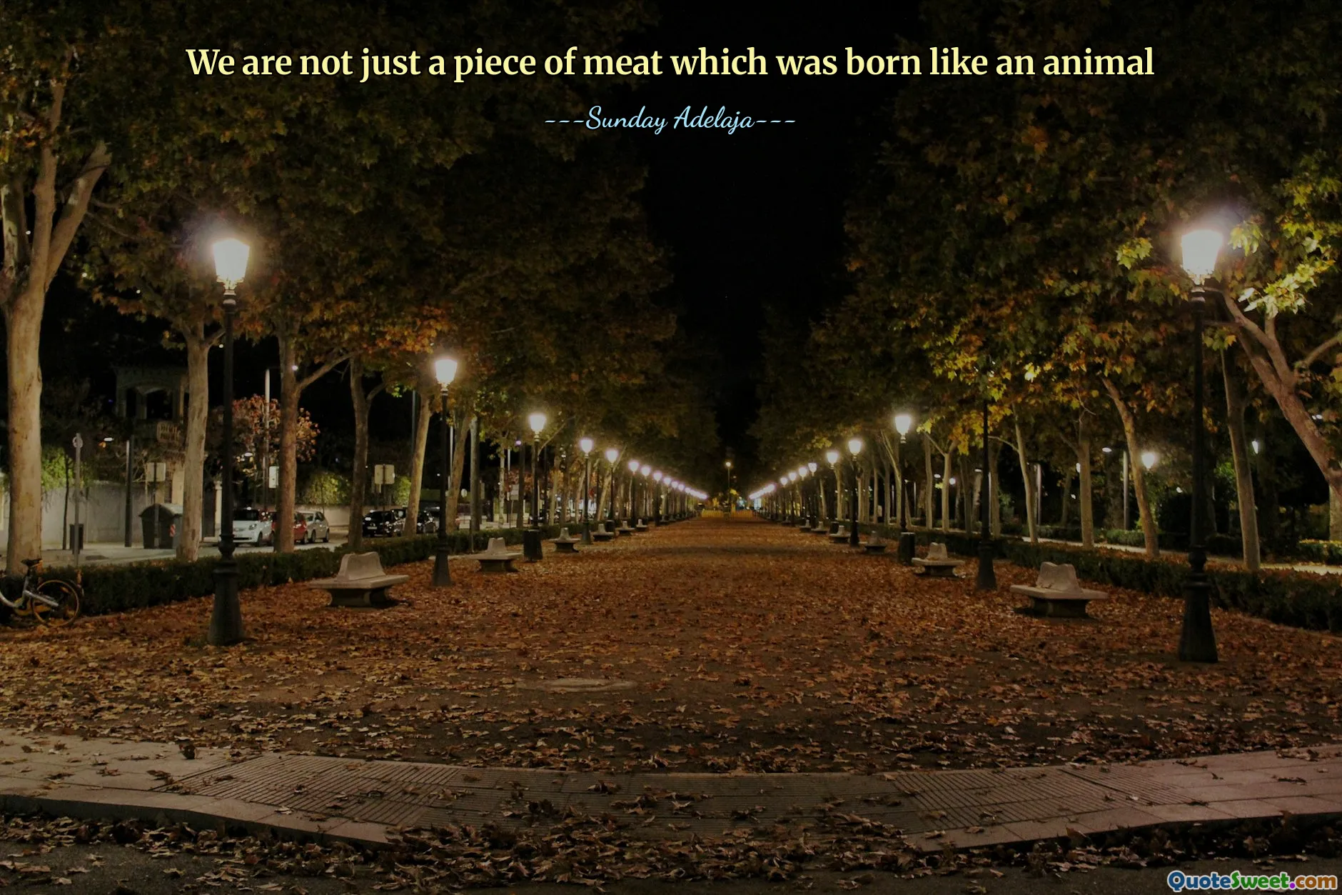 We are not just a piece of meat which was born like an animal