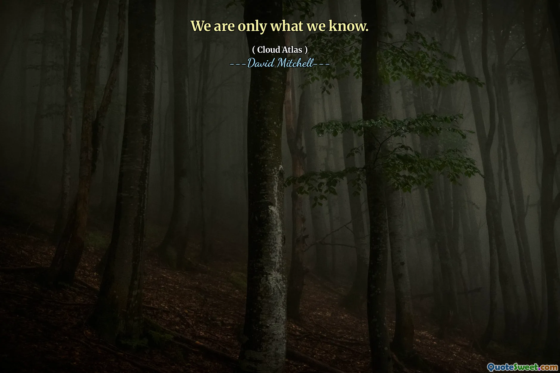 We are only what we know.