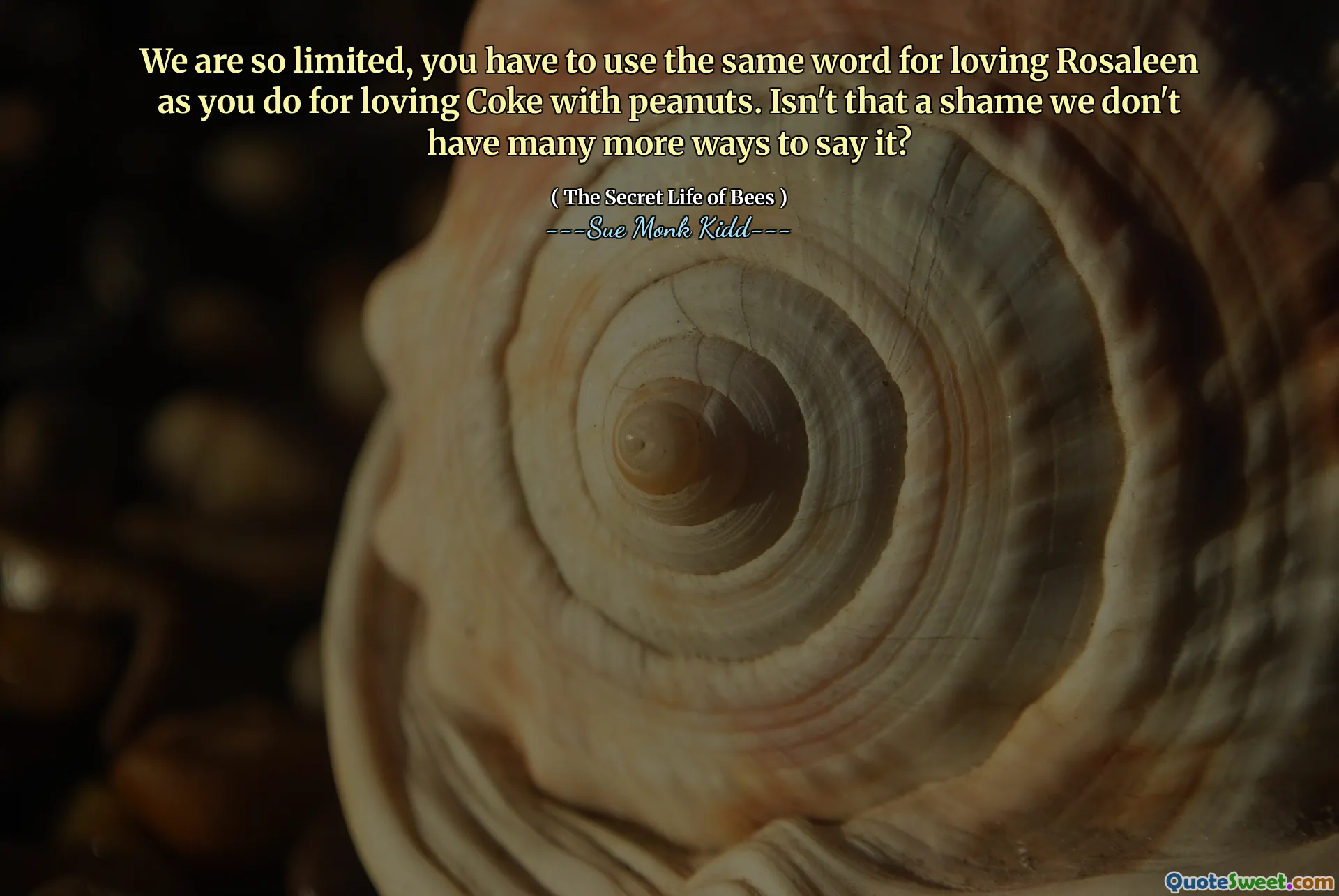 Somos tão limitados que você deve usar a mesma palavra para amar Rosaleen que você faz para amar a Coca -Cola com amendoins. Não é uma pena que não tenhamos muitas outras maneiras de dizer isso?