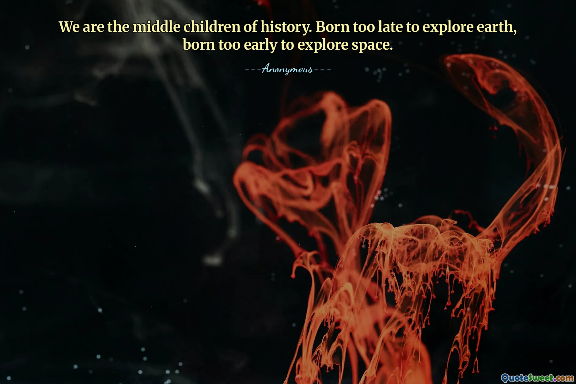 We are the middle children of history. Born too late to explore earth, born too early to explore space.