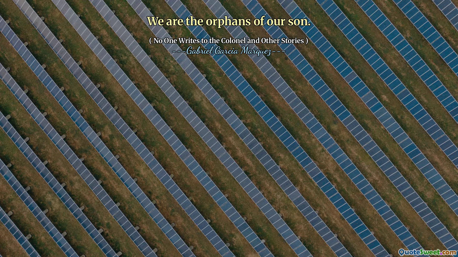 Wij zijn de weeskinderen van onze zoon.