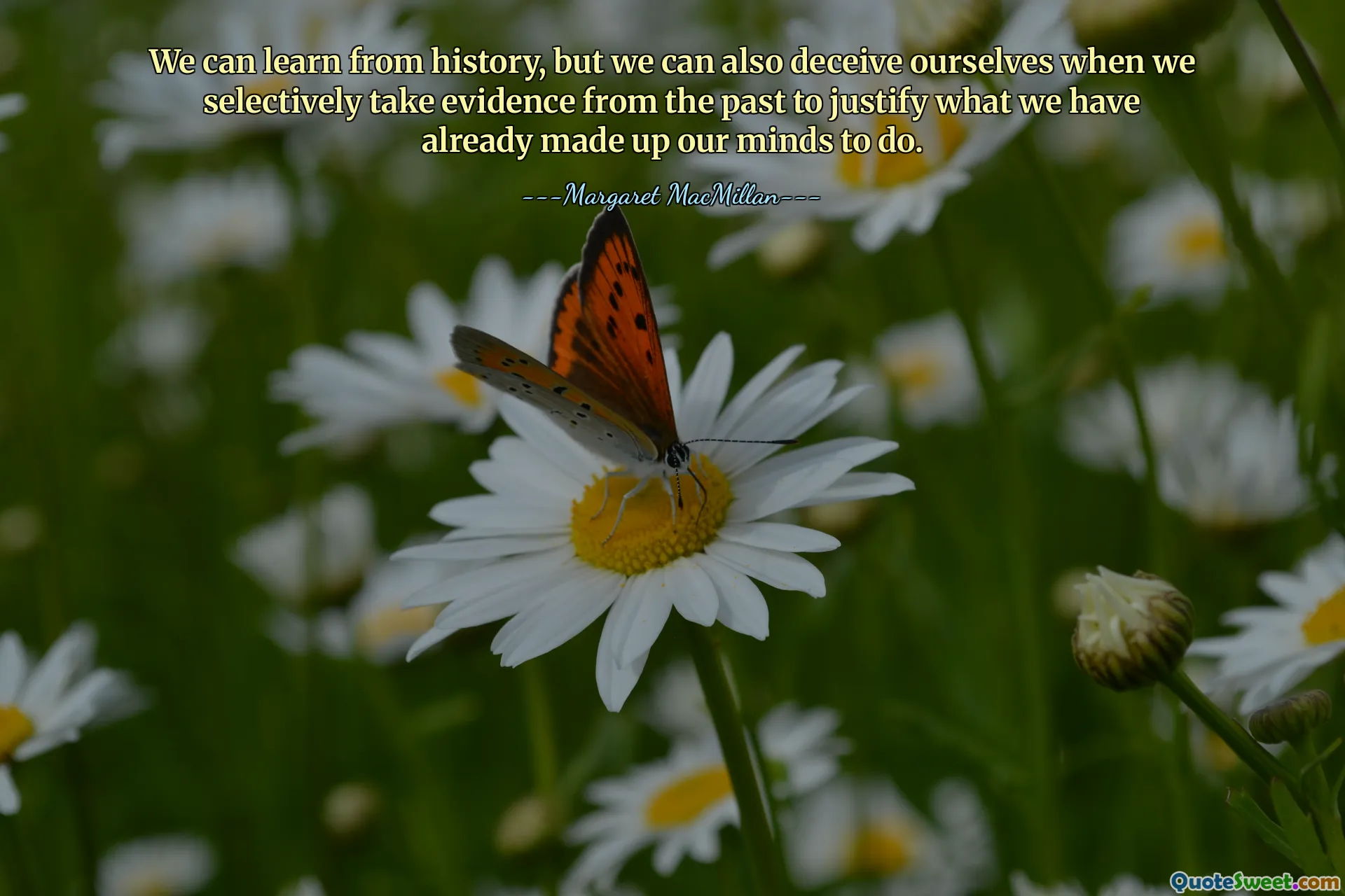 We can learn from history, but we can also deceive ourselves when we selectively take evidence from the past to justify what we have already made up our minds to do.