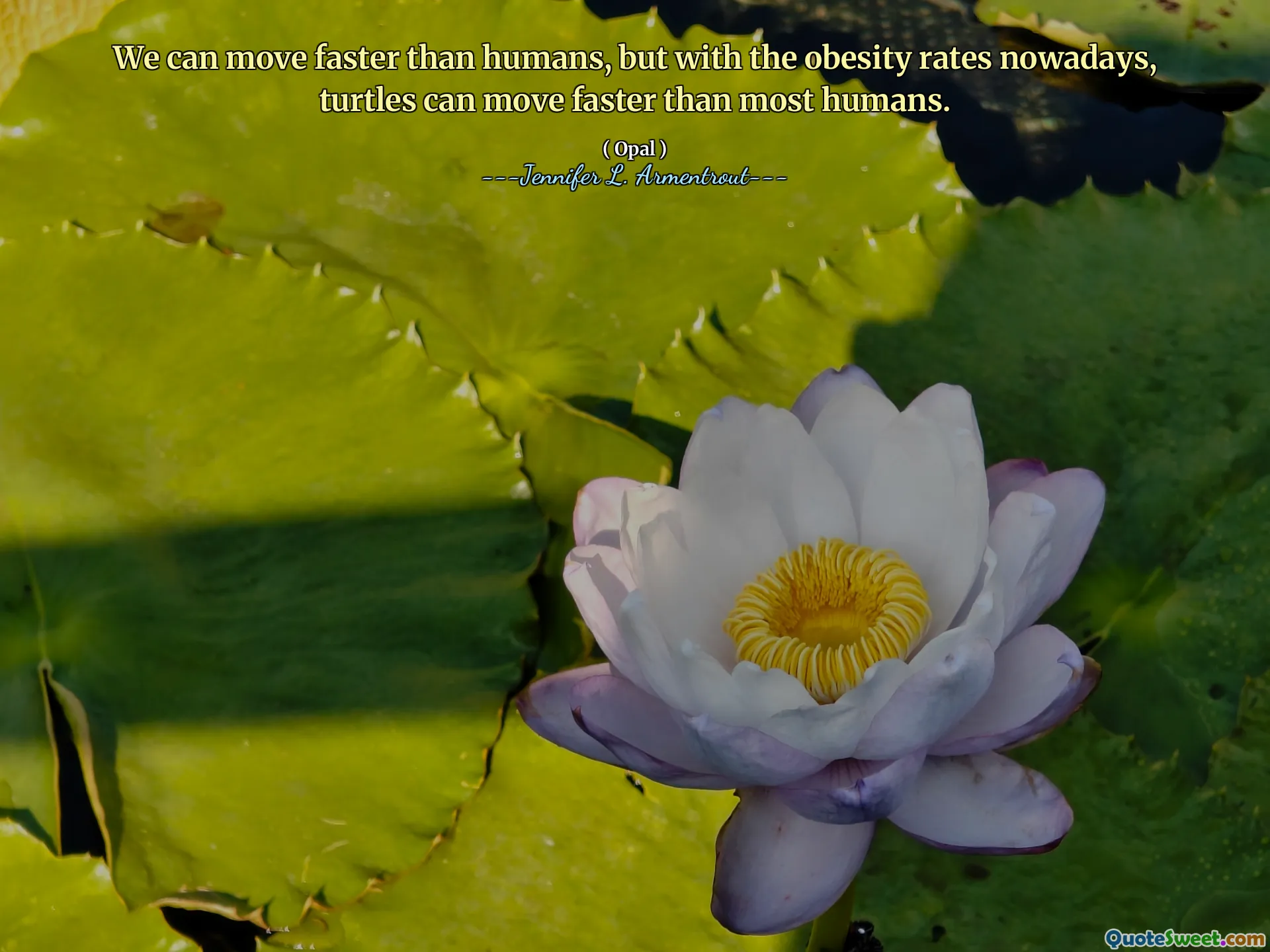 We can move faster than humans, but with the obesity rates nowadays, turtles can move faster than most humans.