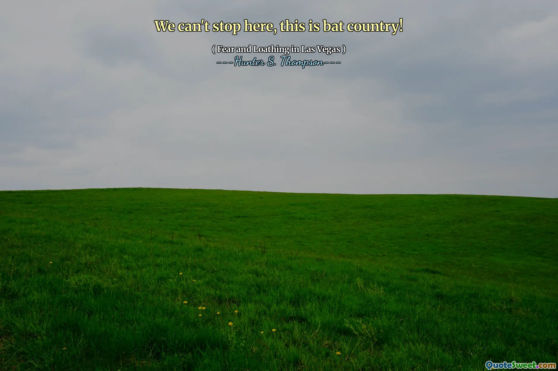 We can't stop here, this is bat country!