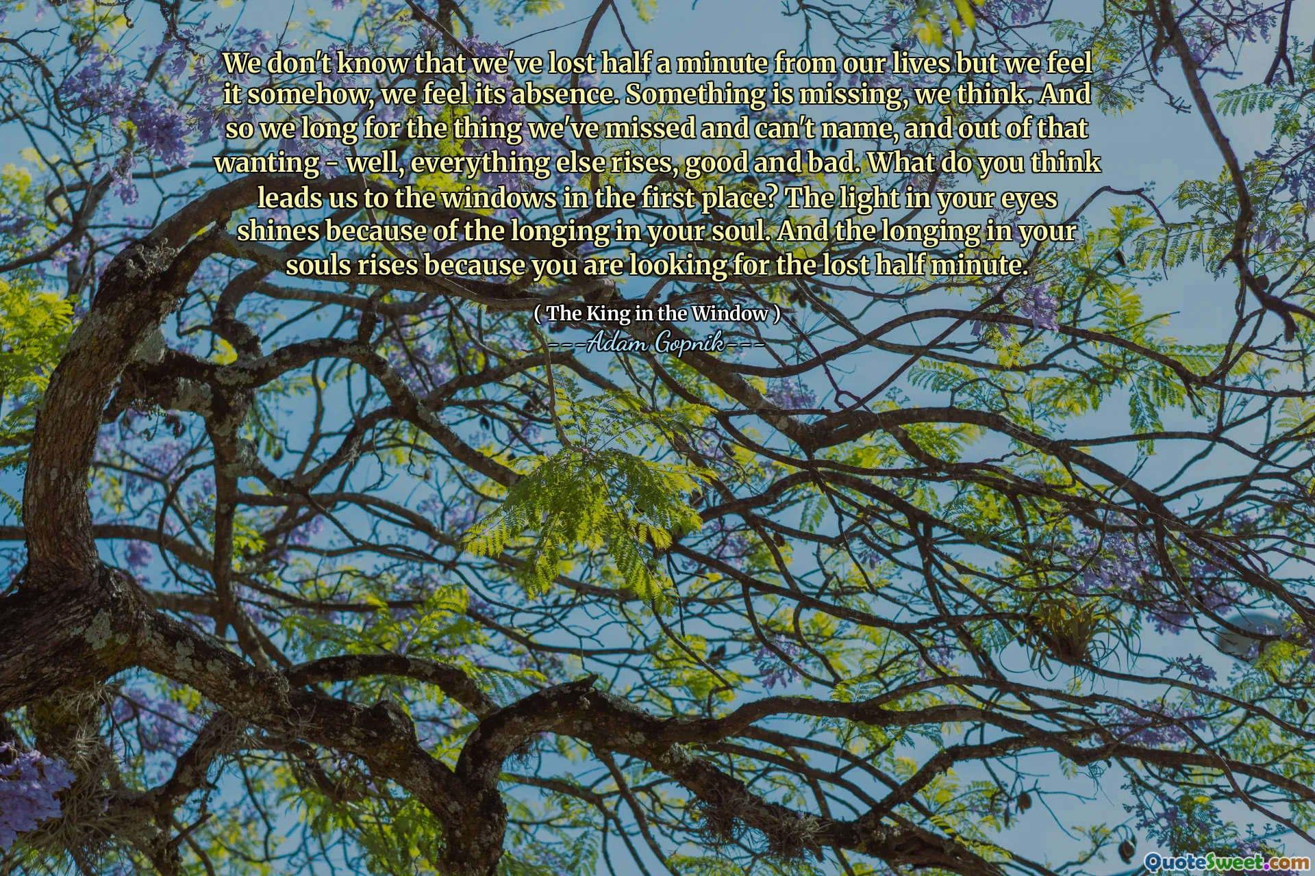 我们不知道我们已经从一生中损失了半分钟，但是我们感觉到它的缺失。我们认为缺少一些东西。因此，我们渴望想念我们错过和不能命名的东西，而在那些想要的东西中 - 好吧，其他一切都崛起，好与坏。您认为首先将我们带到窗户？由于您的灵魂中的渴望，您眼中的光线闪耀。您的灵魂中的渴望升起，因为您正在寻找半分钟的损失。