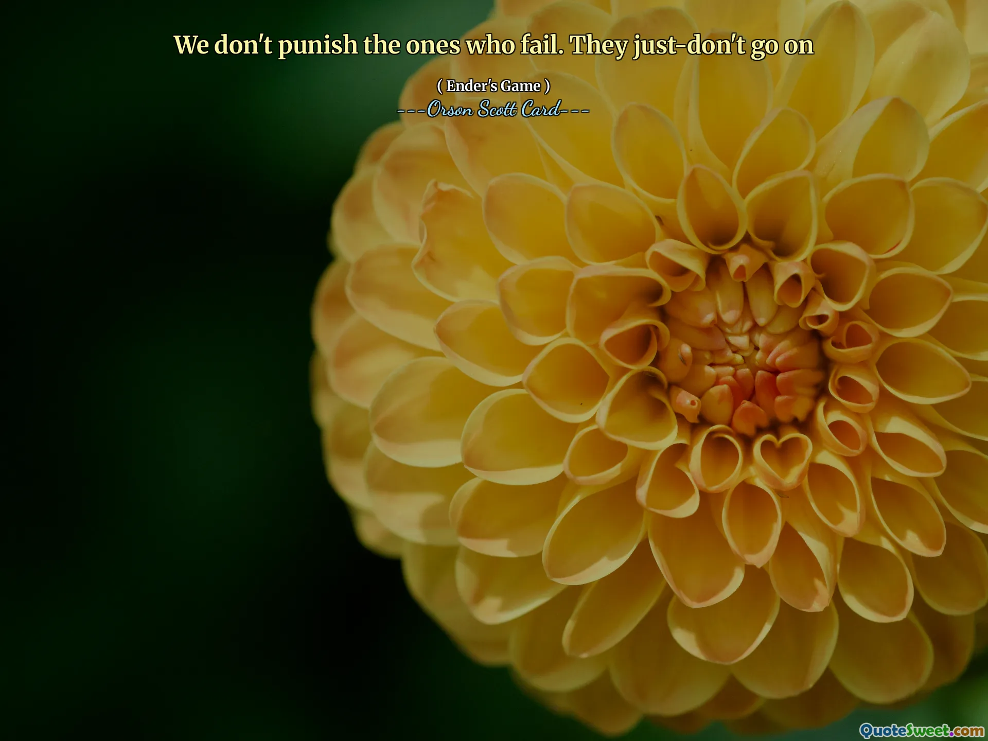 我们不会惩罚那些失败的人。他们只是——不再继续下去