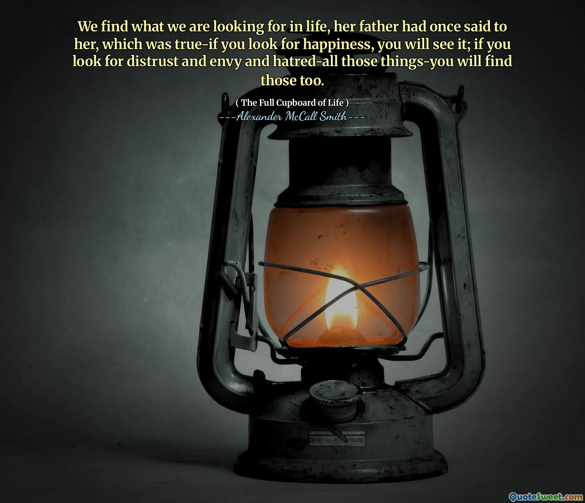 We find what we are looking for in life, her father had once said to her, which was true-if you look for happiness, you will see it; if you look for distrust and envy and hatred-all those things-you will find those too.