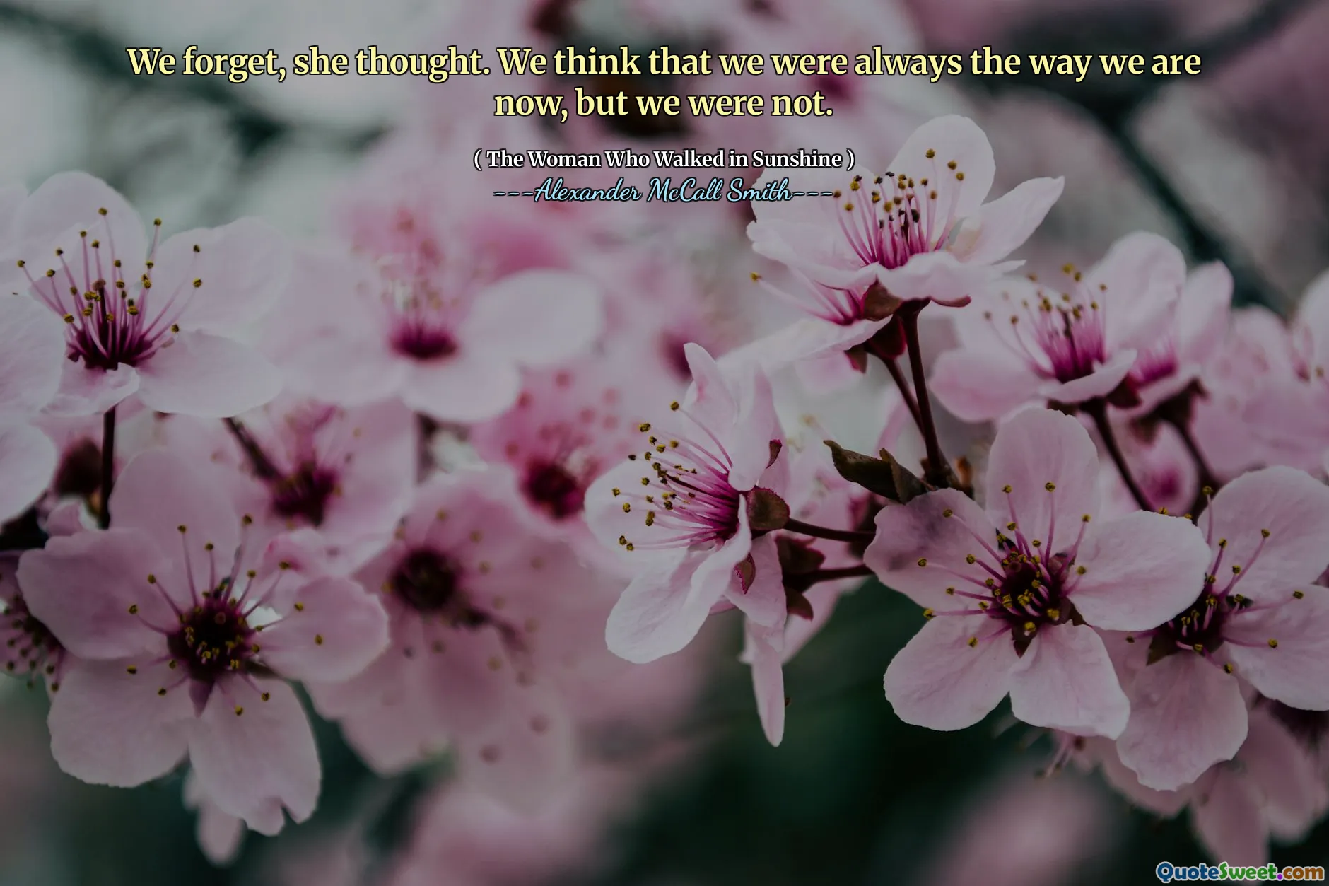 لقد نسينا ، فكرت. نعتقد أننا كنا دائمًا كما نحن الآن ، لكننا لم نكن كذلك.