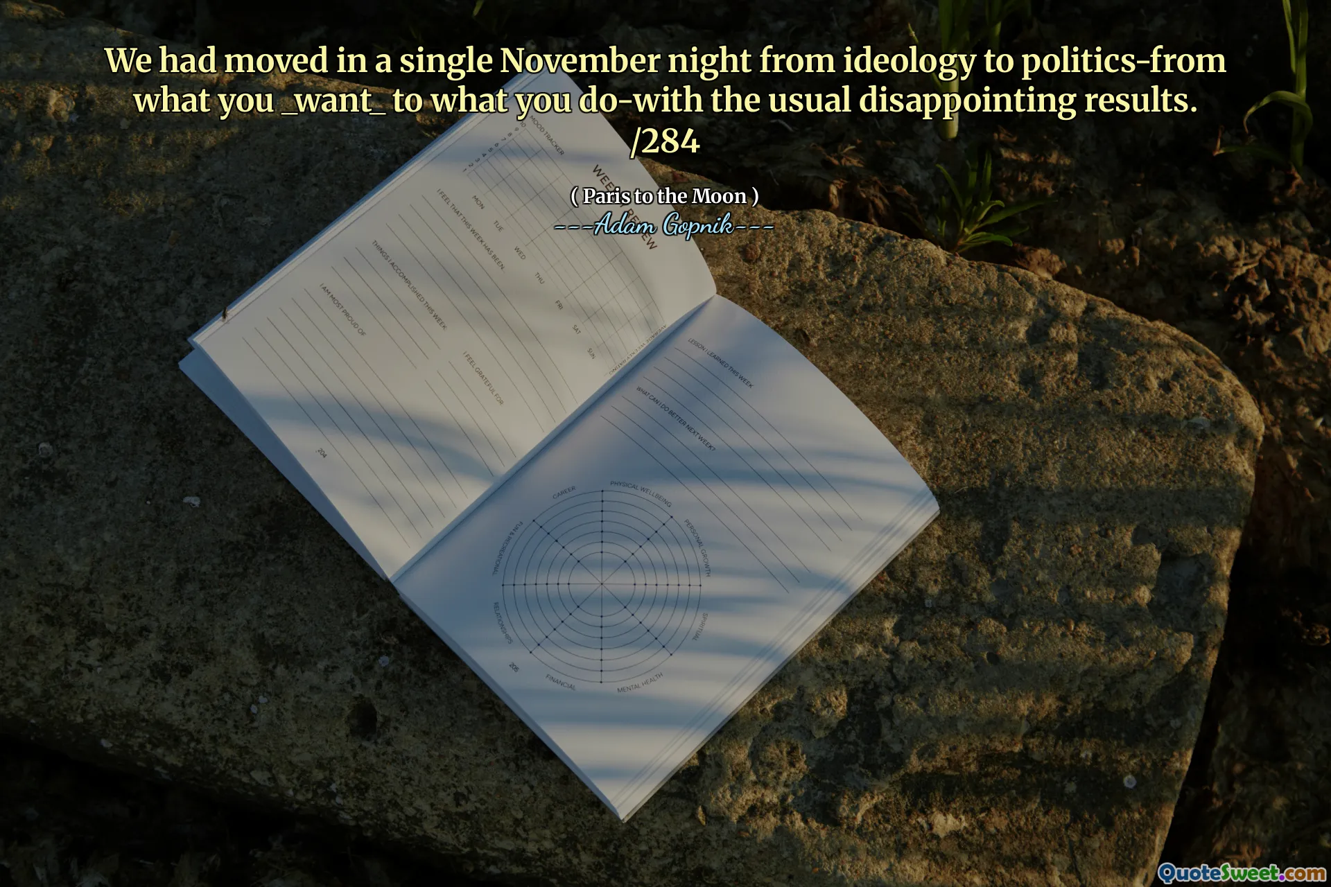 我们已经在一个11月的一个晚上从意识形态转移到政治，从您的_want_到您做什么，而通常令人失望的结果。 /284