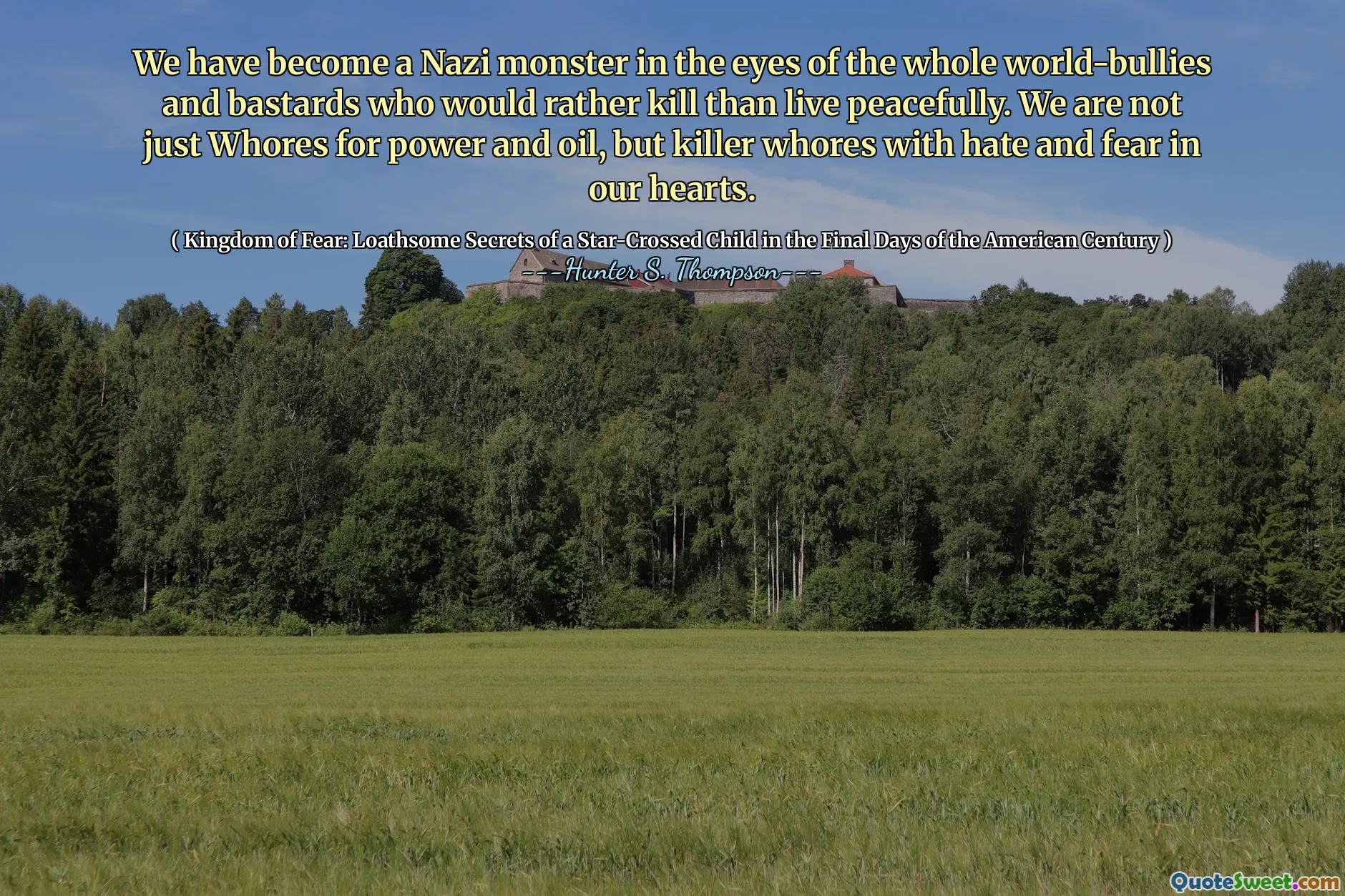 在整个世界幕府和混蛋的眼中，我们已经成为纳粹怪物，他们宁愿杀死也不愿和平生活。我们不仅是权力和石油的妓女，而且是仇恨和恐惧的杀手。