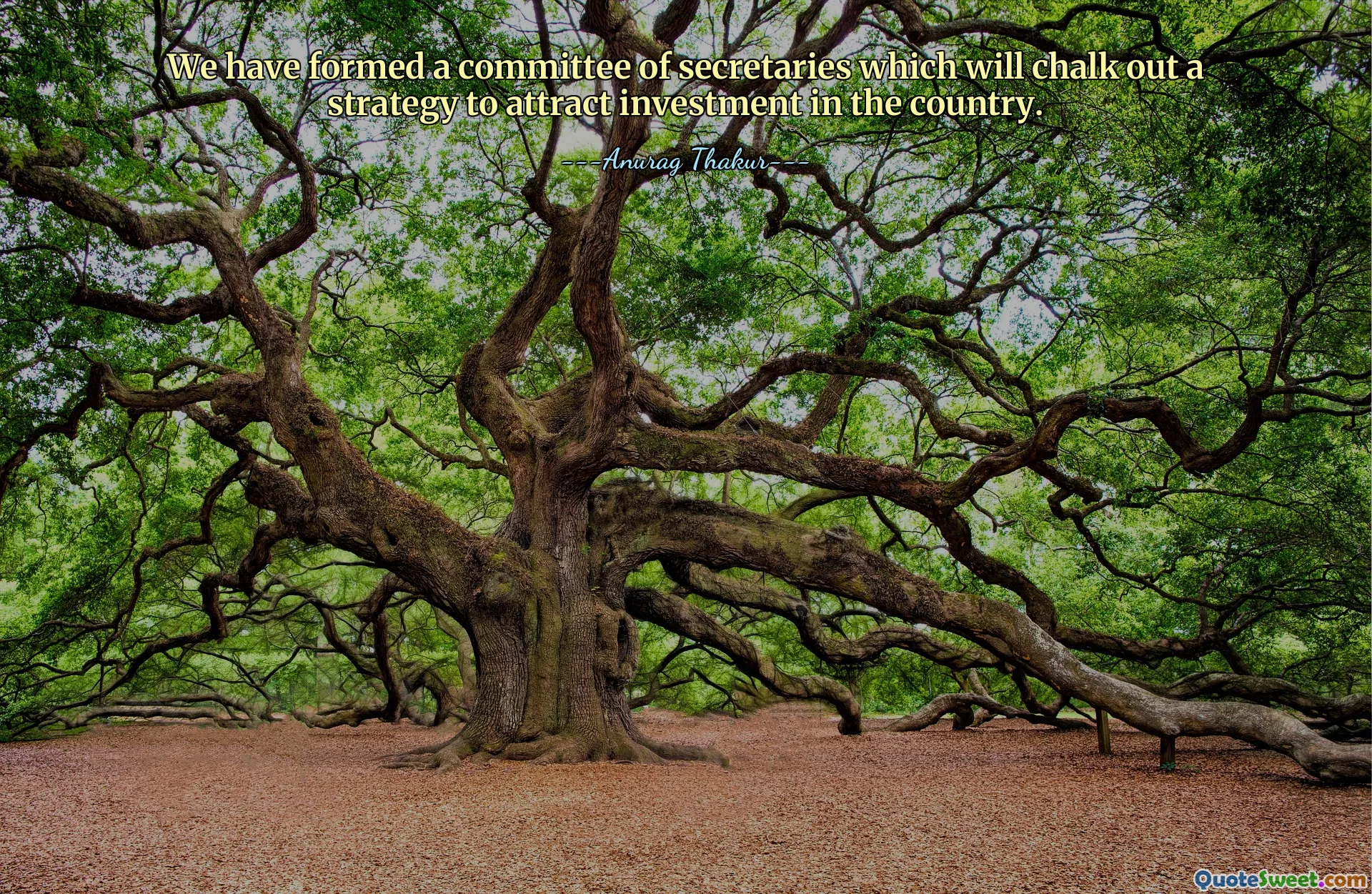 We have formed a committee of secretaries which will chalk out a strategy to attract investment in the country.