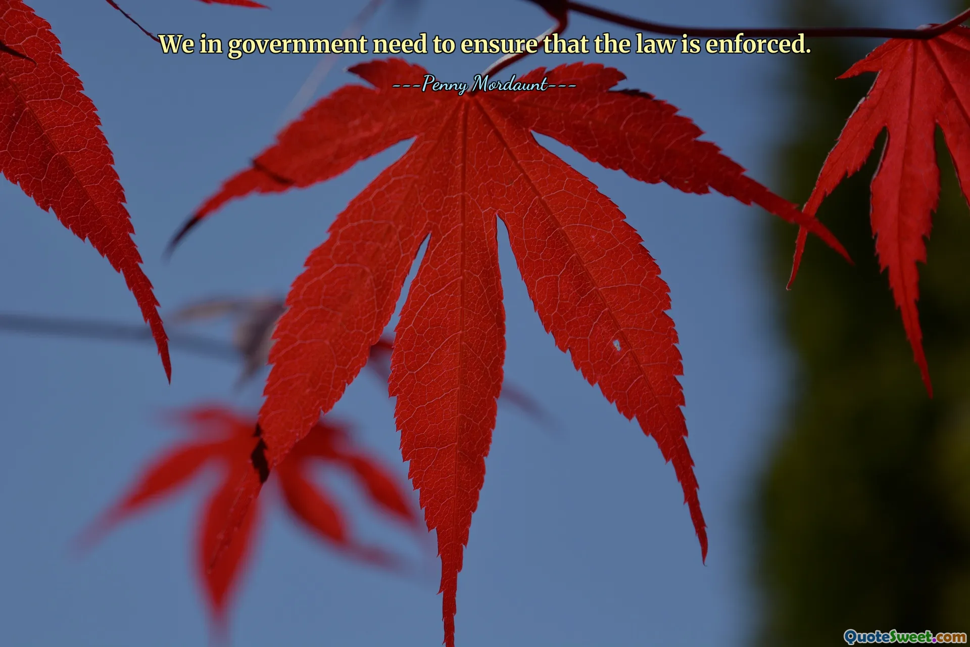 We in government need to ensure that the law is enforced.