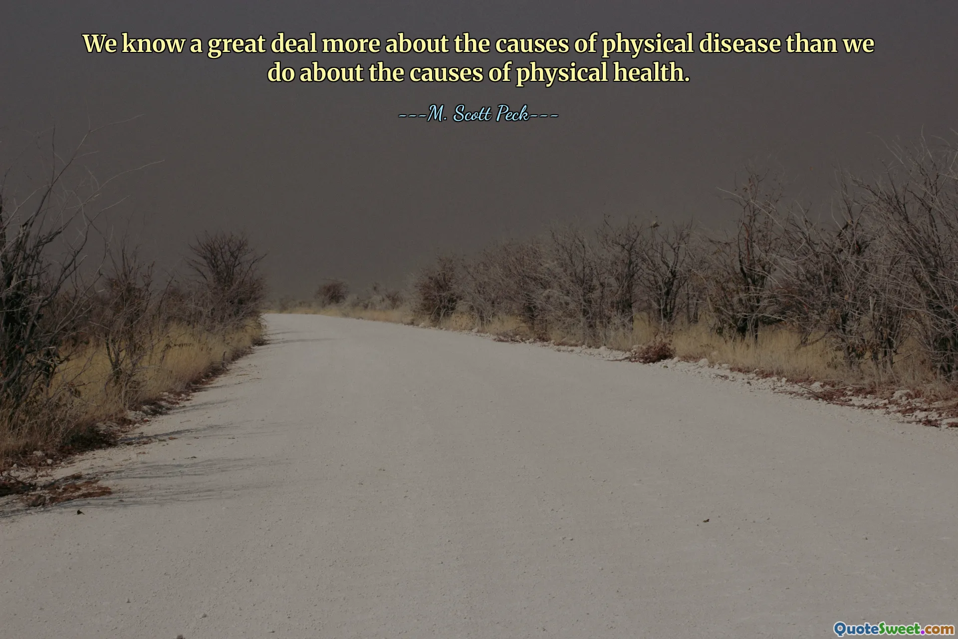 Nous en savons beaucoup plus sur les causes des maladies physiques que sur les causes de la santé physique.