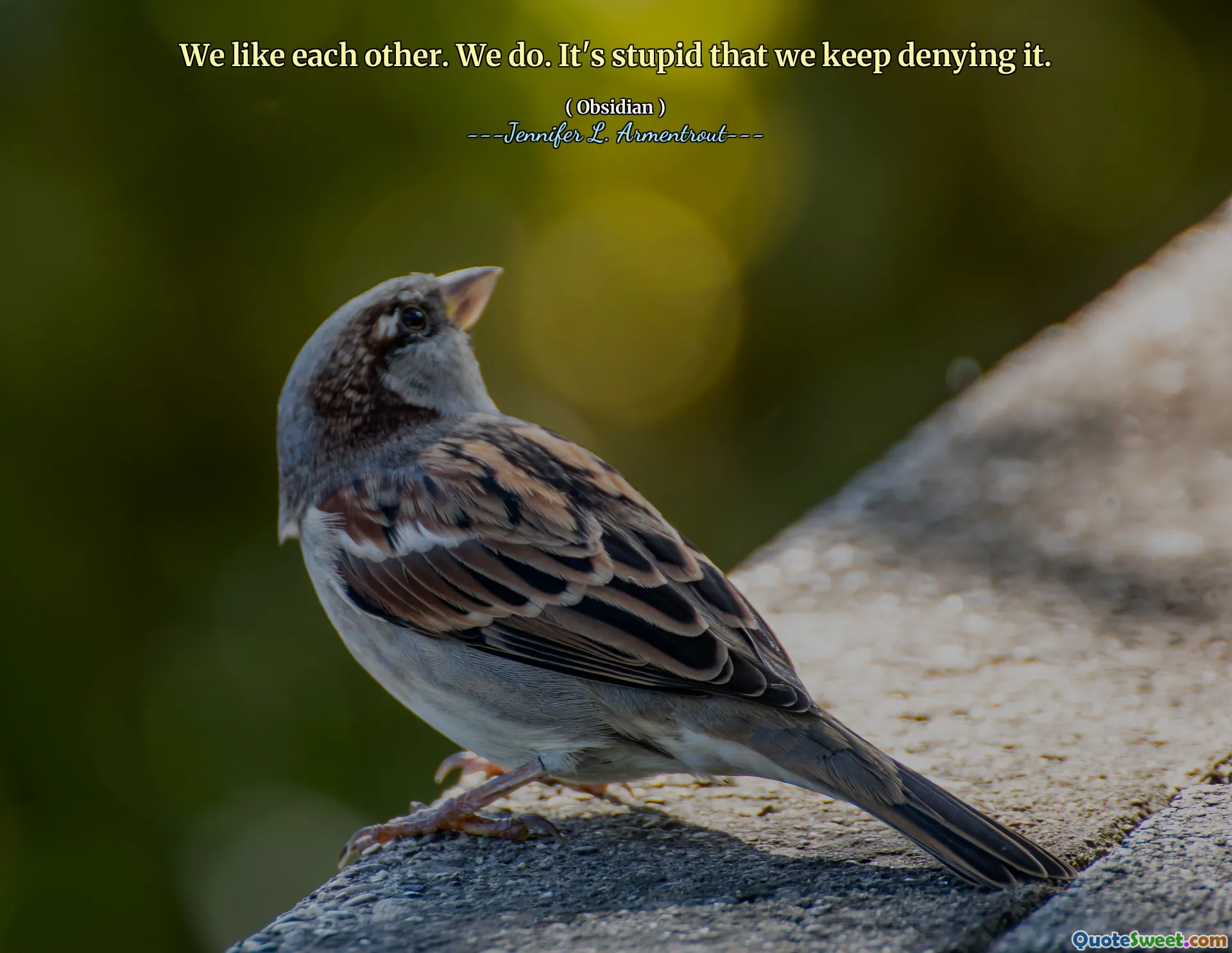 We like each other. We do. It's stupid that we keep denying it.